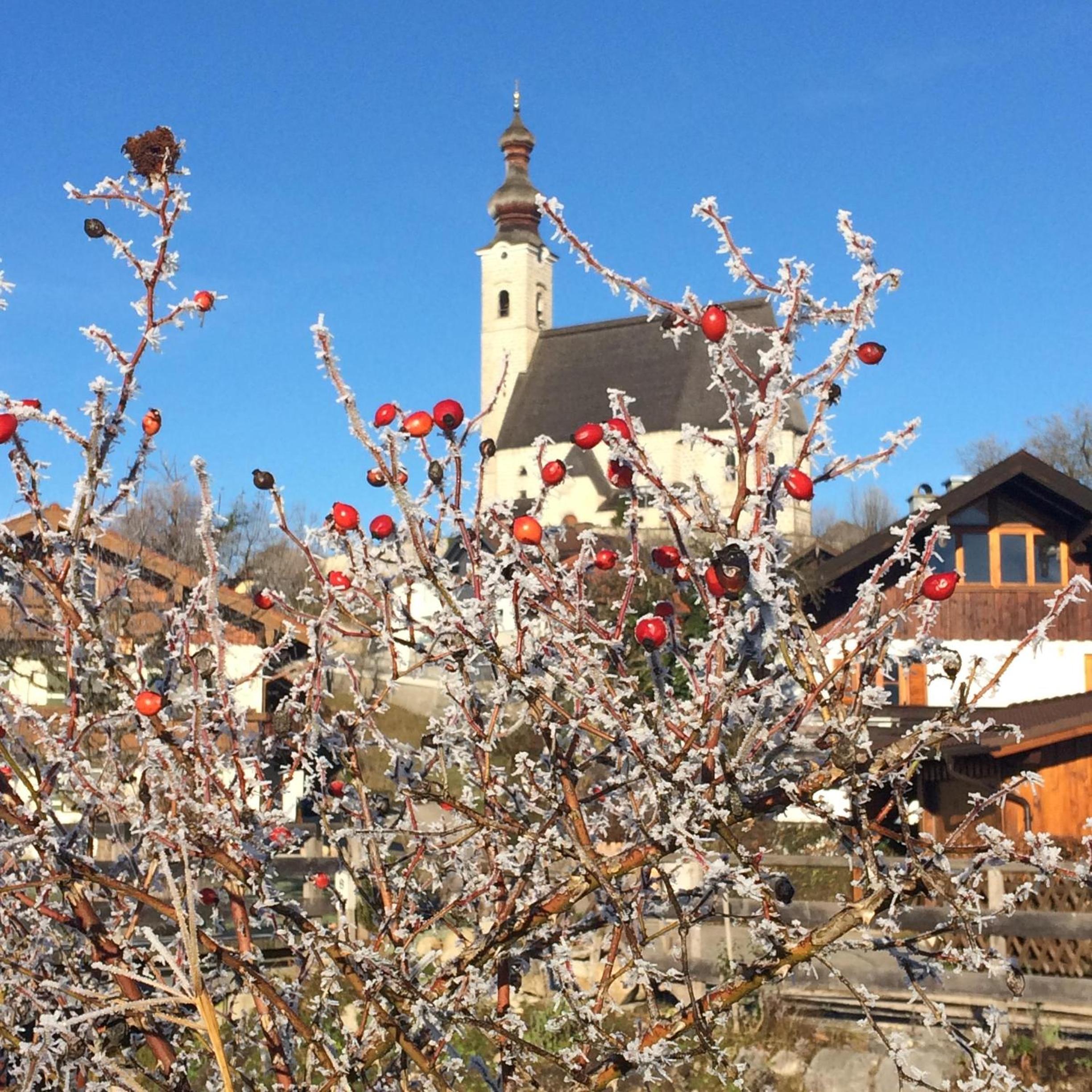 Ferienwohnung am Moosbach
