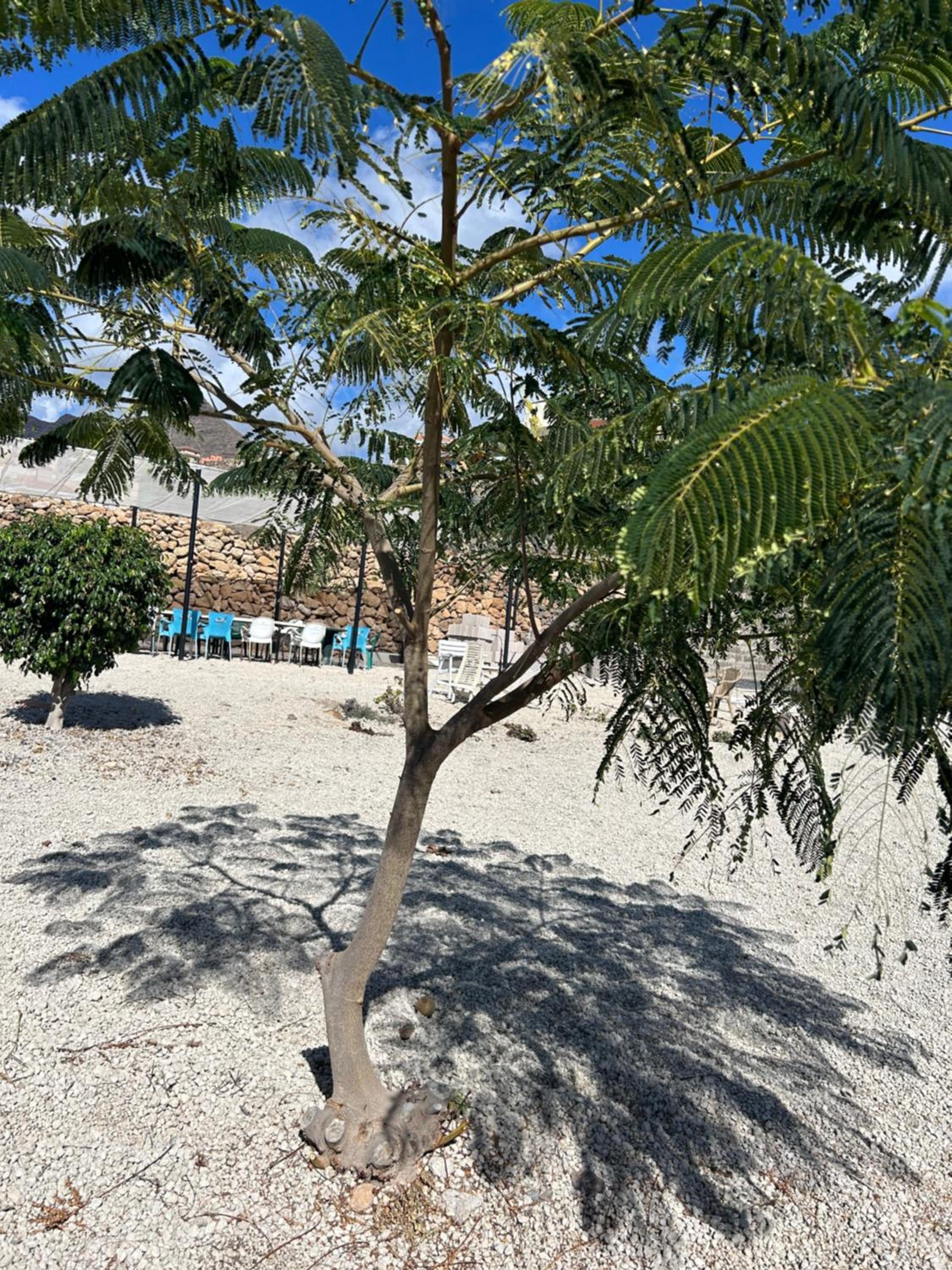 Casa Mirador photo 5