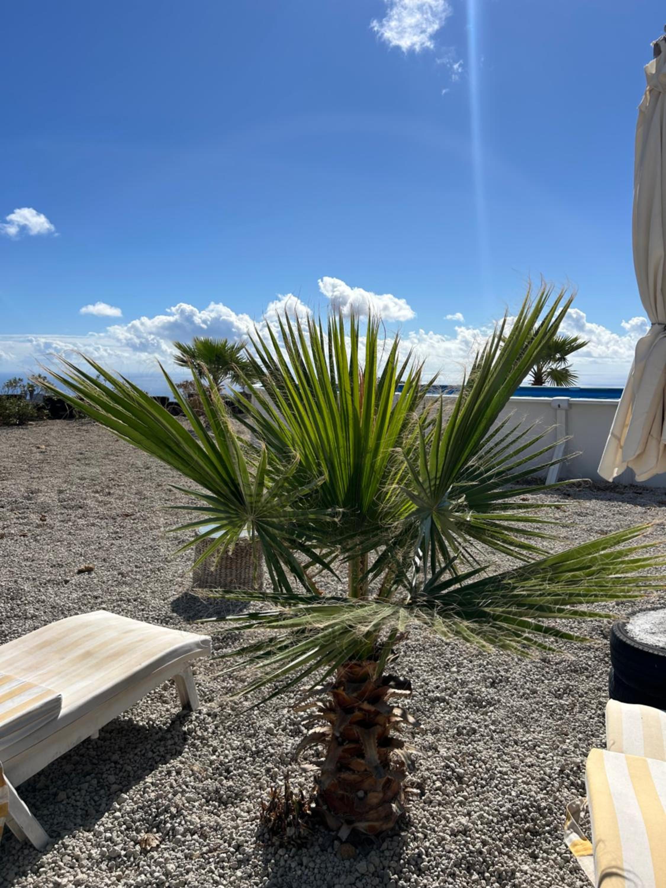 Casa Mirador