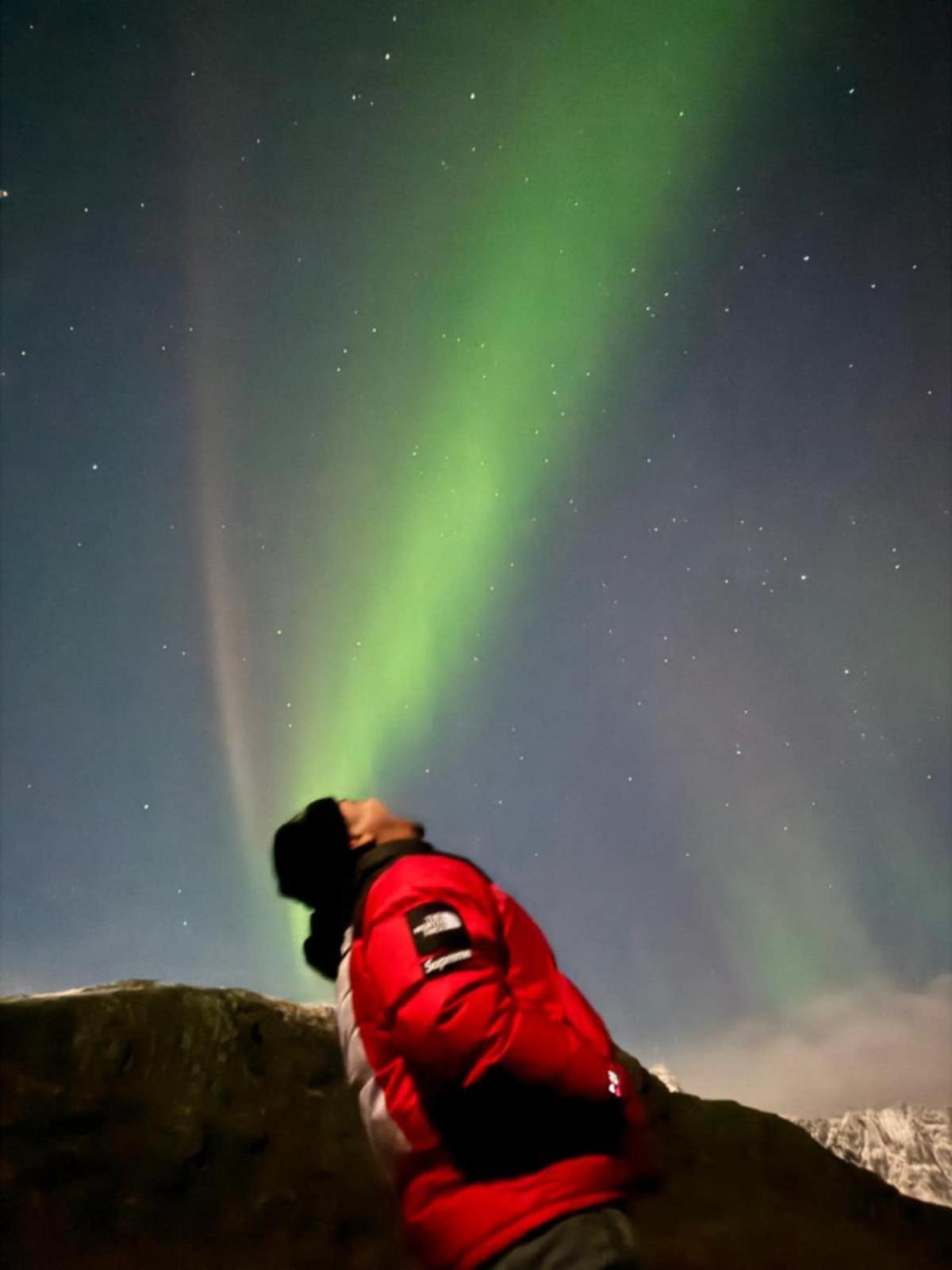 Enebolig med Eventyrlig beliggenhet like ved sjøen i Lofoten view 3