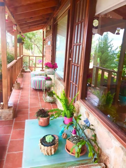 Encanto del Colibrí