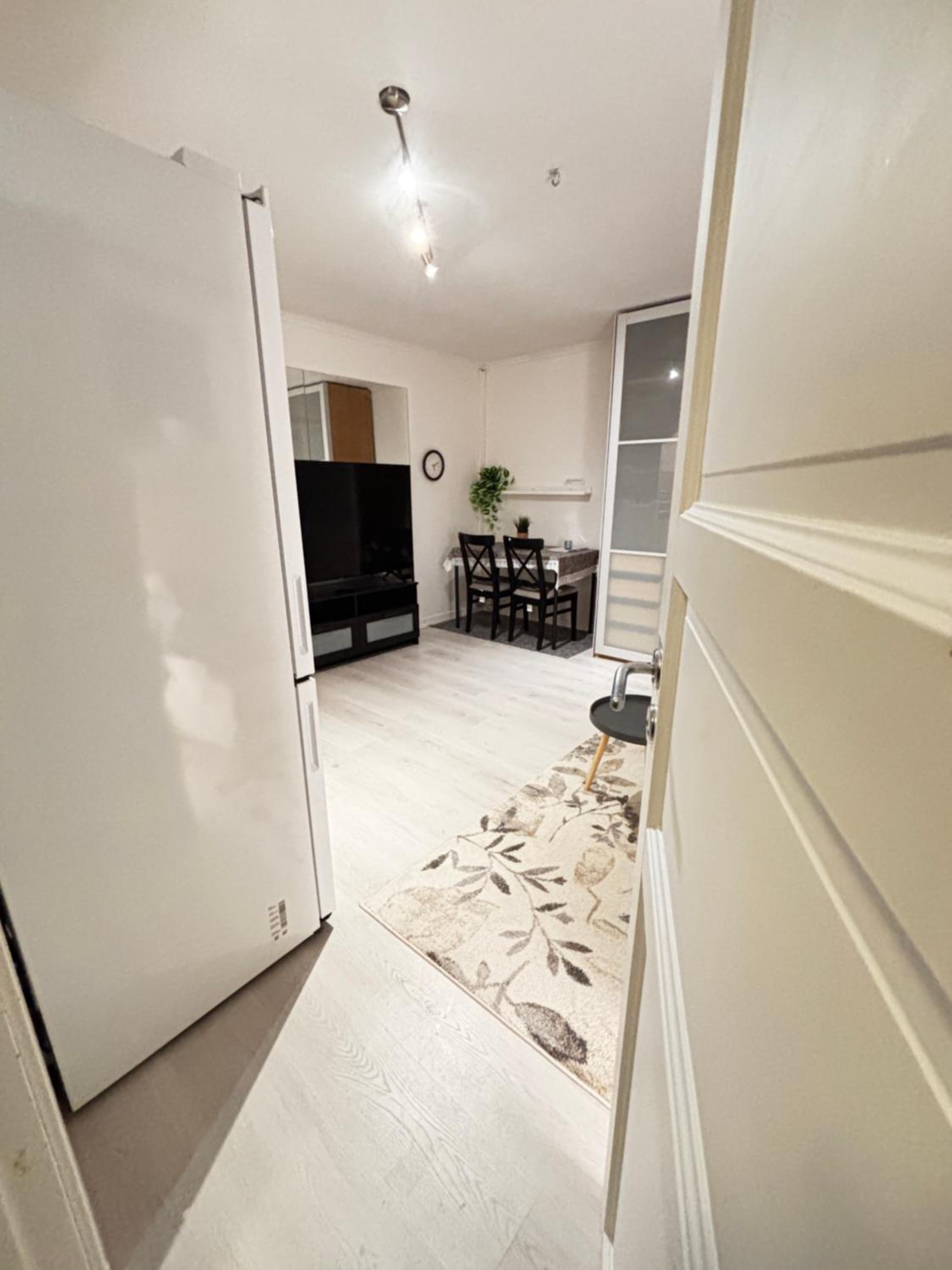Modern Basement 1BHK Apartment Private Entry view 5