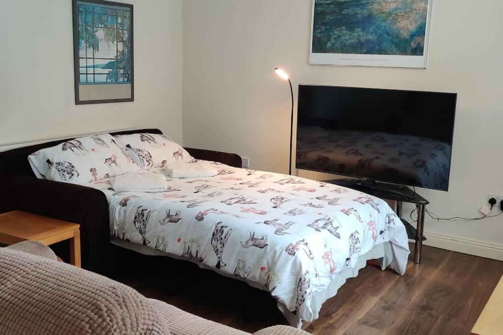 Spacious, central and illuminated home Dublin 6