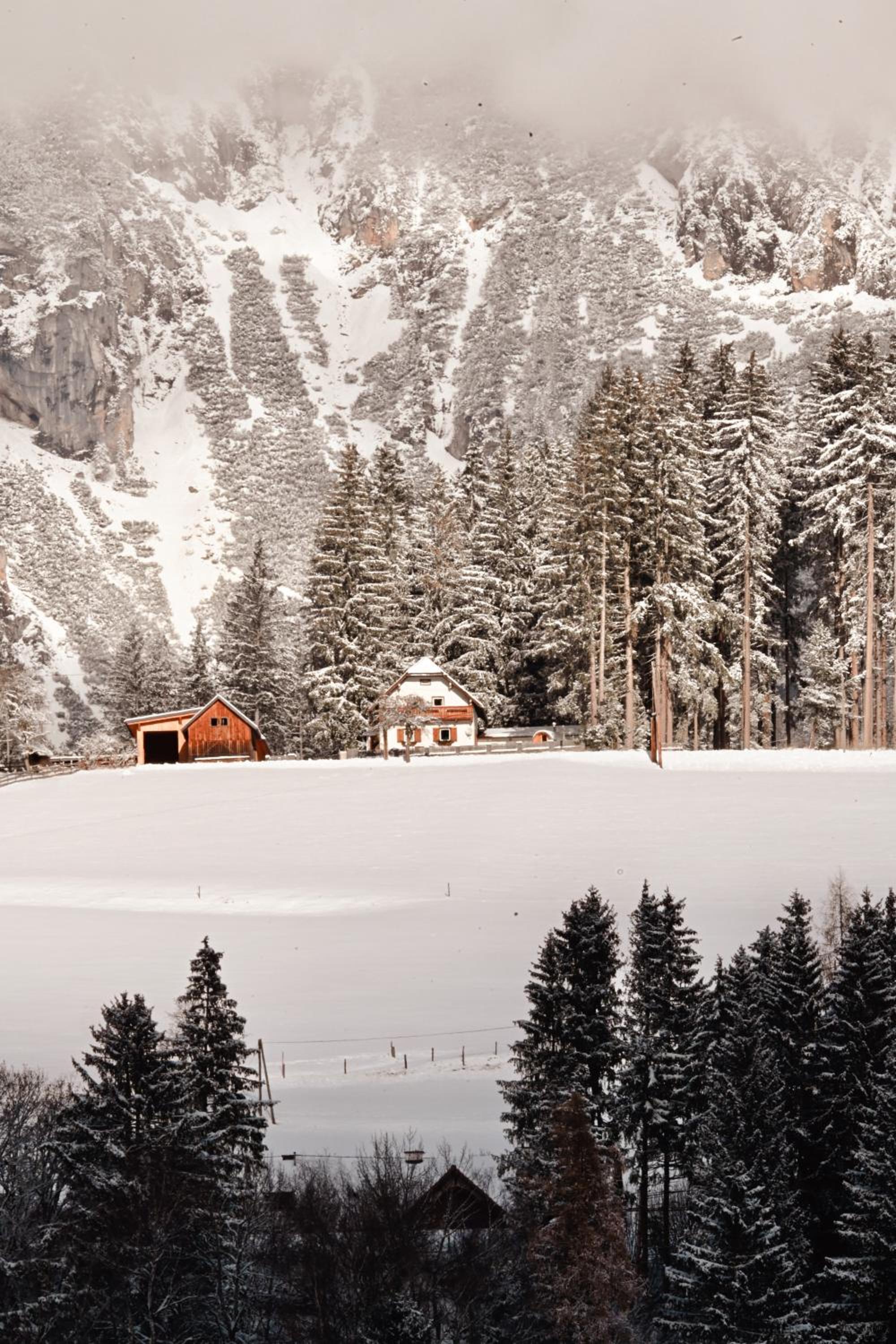 CHILLHAUS Pear Mountain by AA Holiday Homes