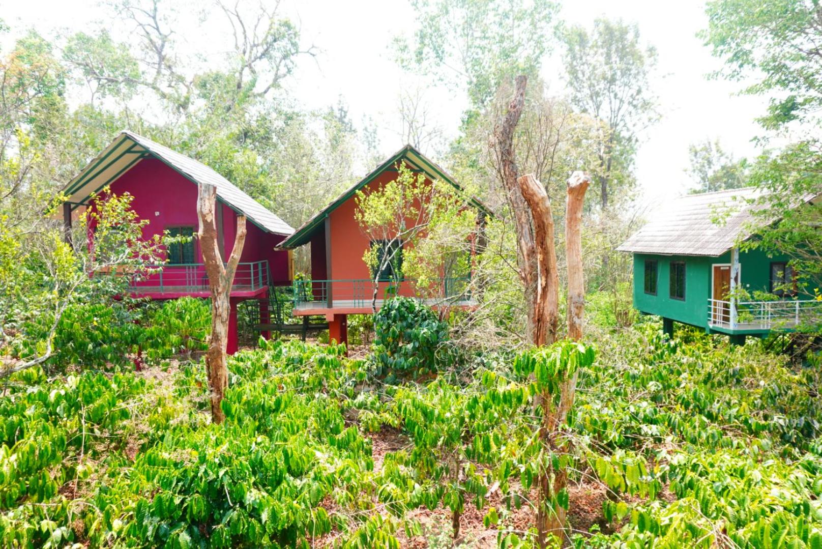 The Rain Tree Resort, Tholpetty,Wayanad