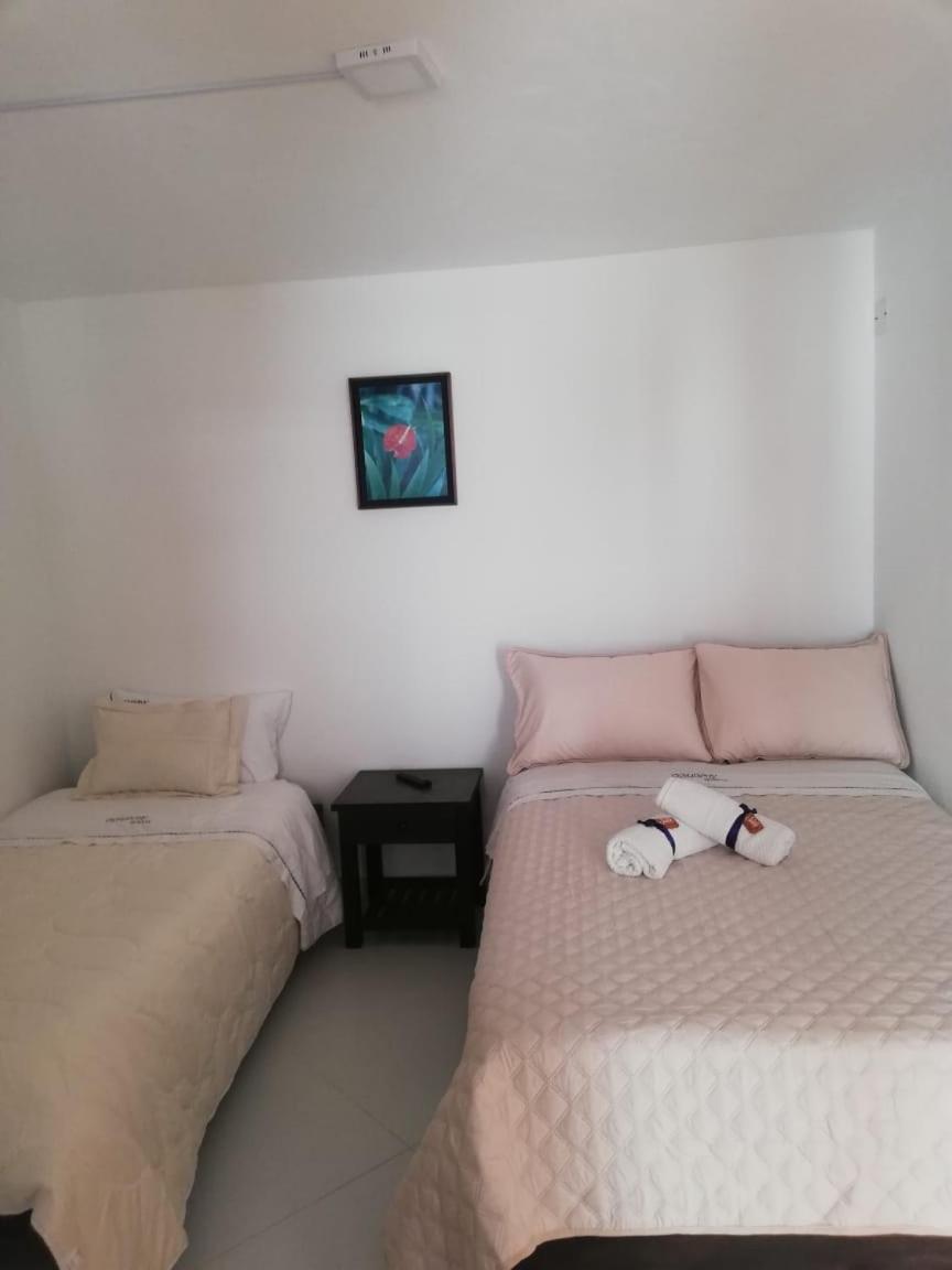 Cemandy Hostal