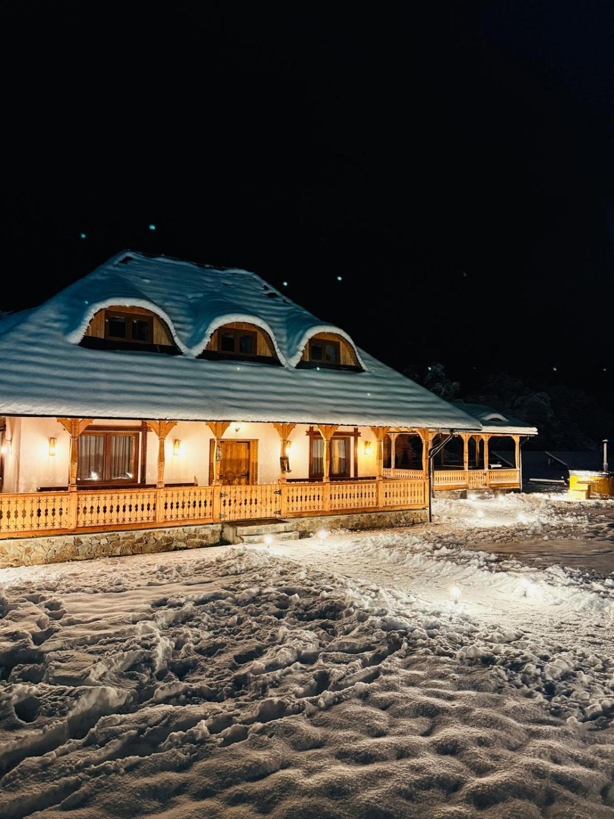 Casa Moroșanului Vișeu de Sus view 2