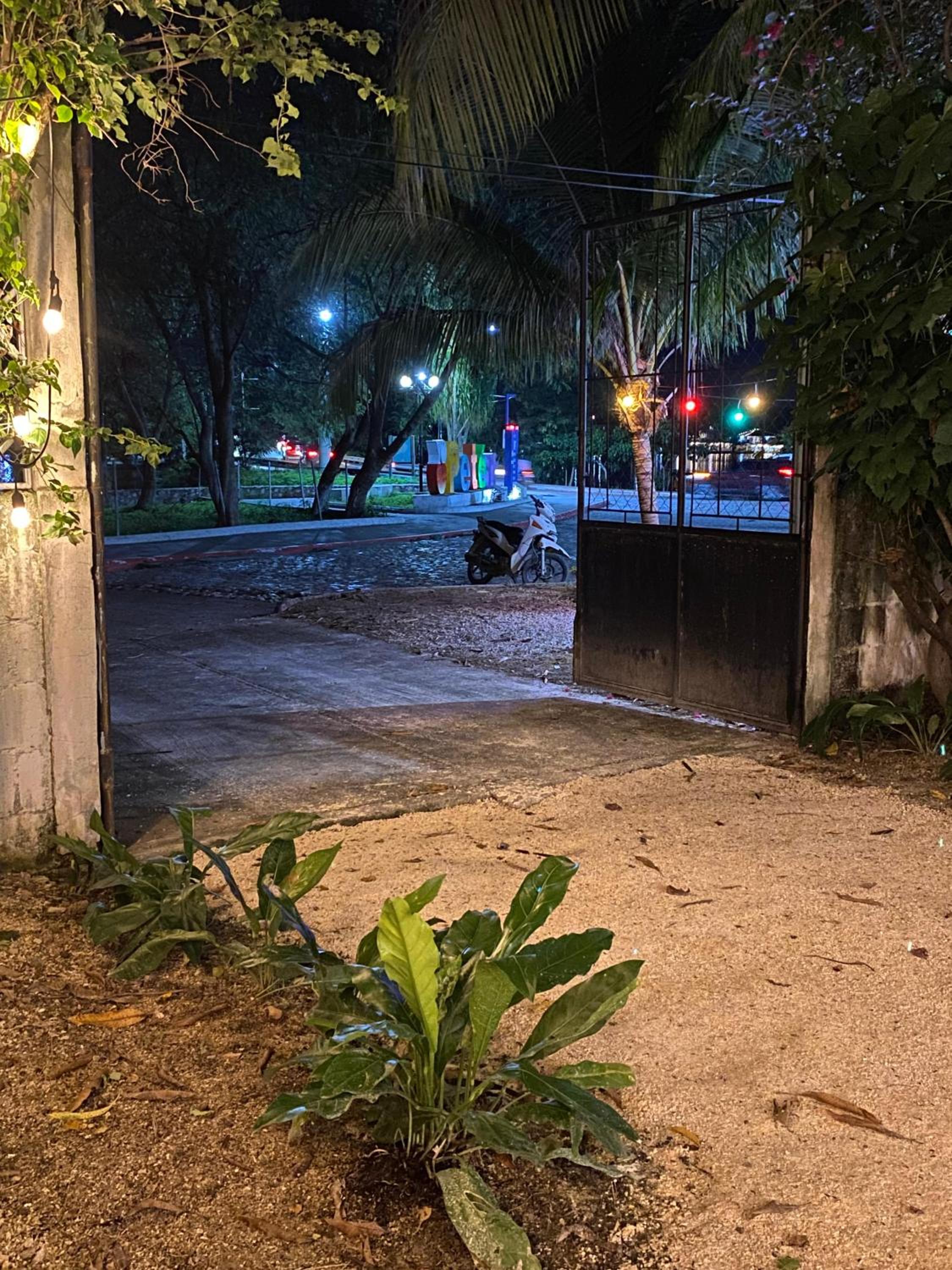 Photo 19