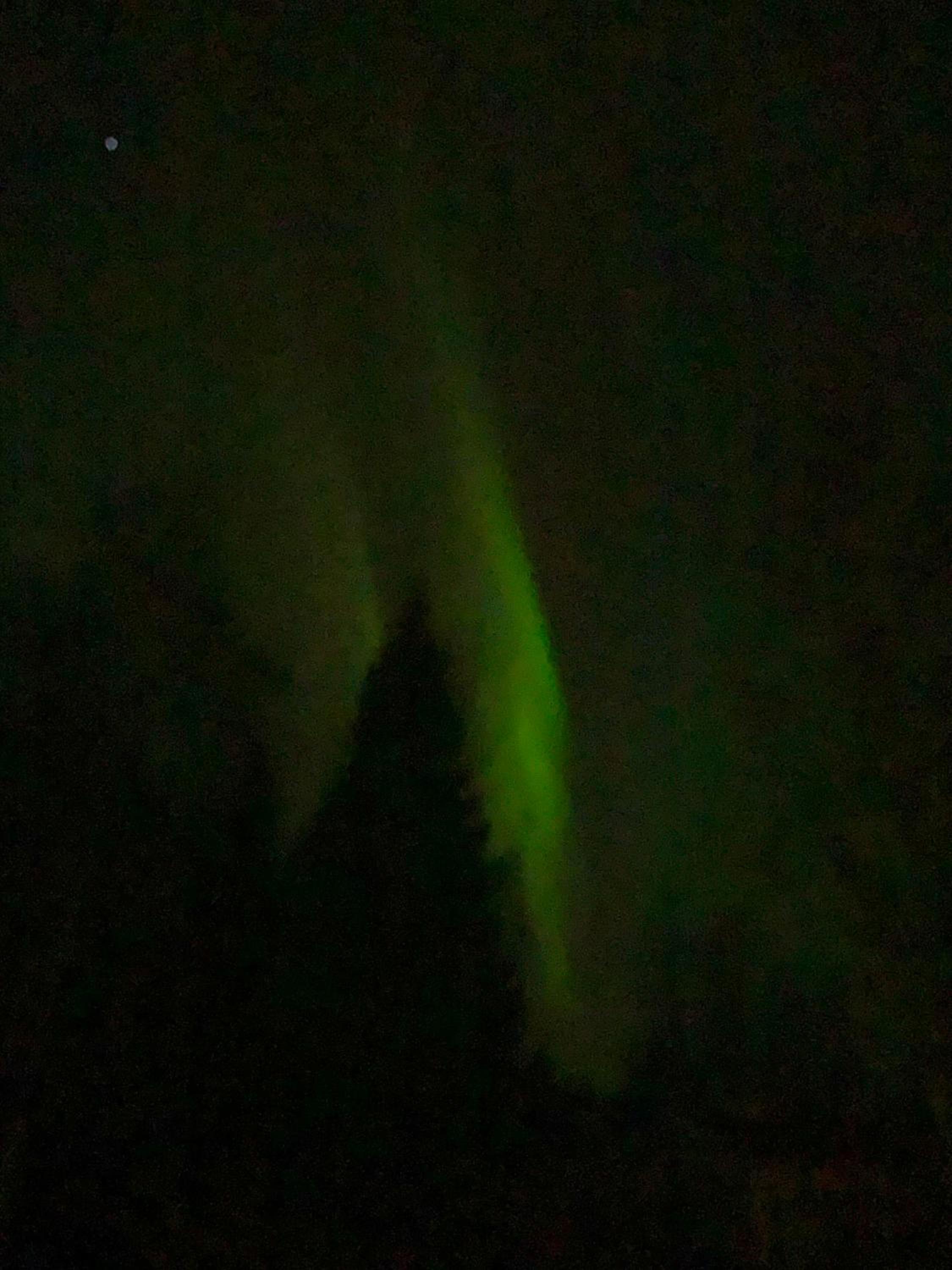 Moderni vierasmökki