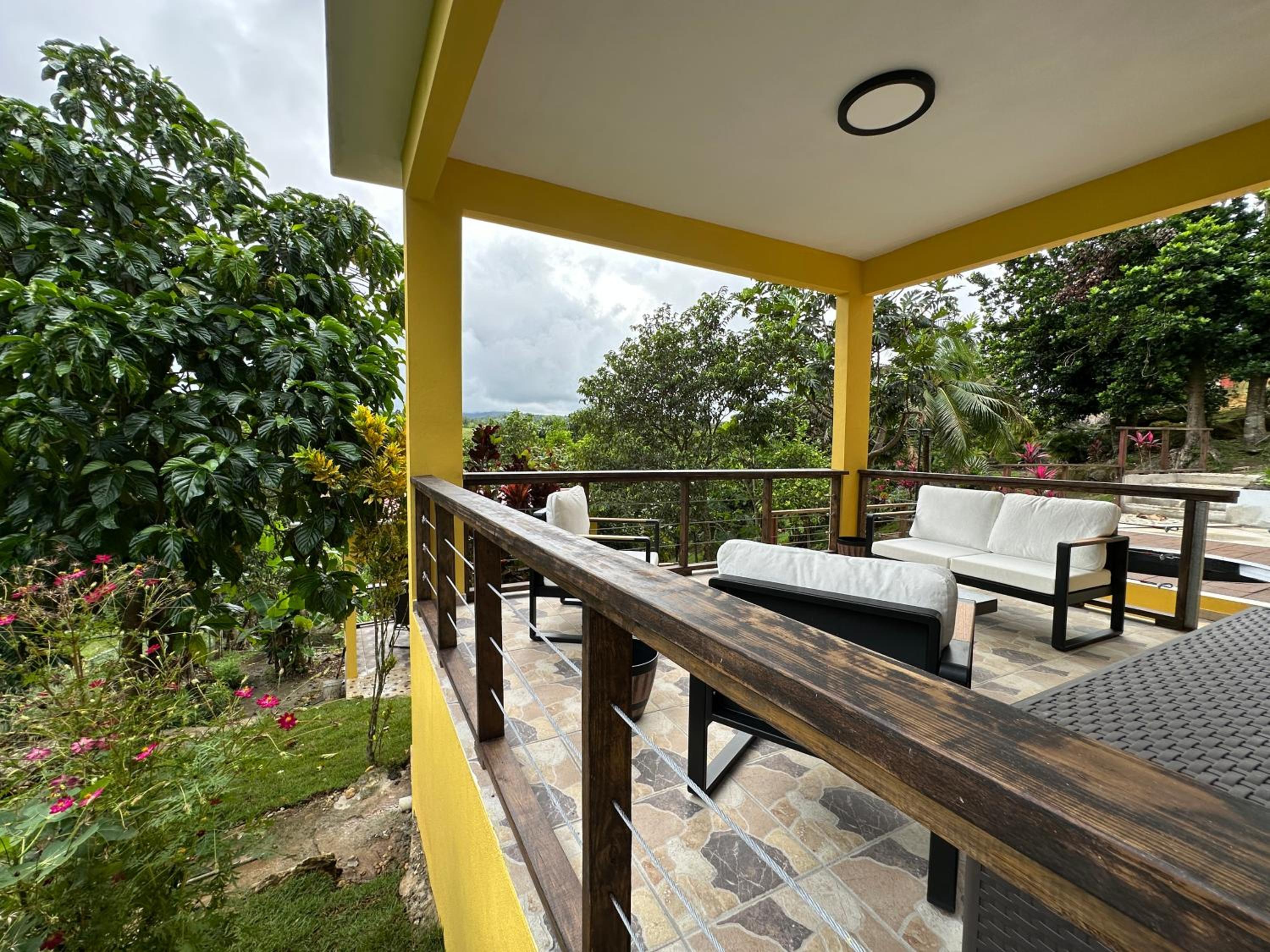 Photo 41