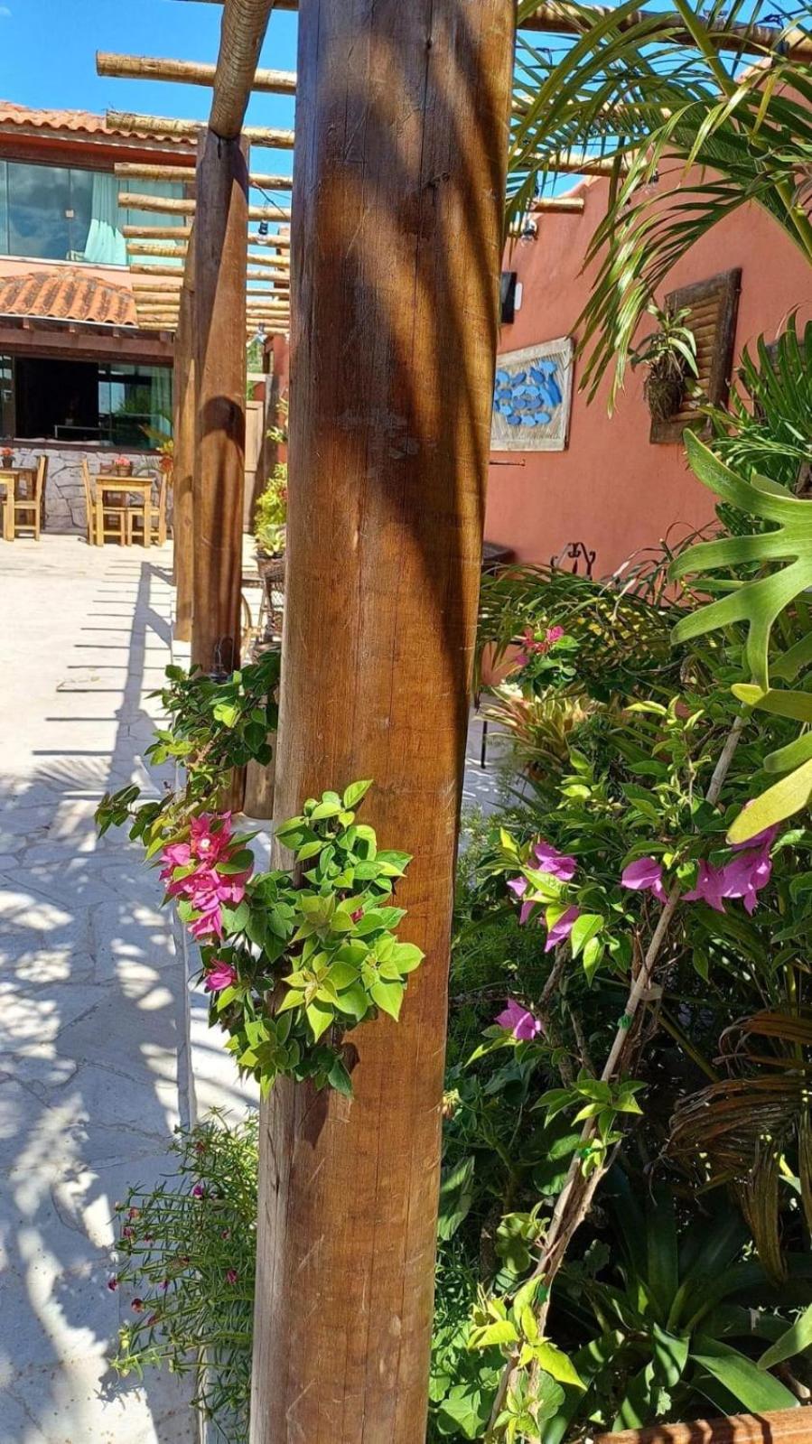 Guest House Orquídea