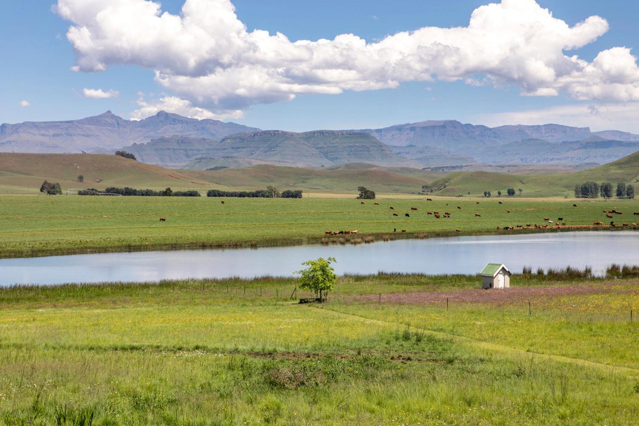 Khanyeni