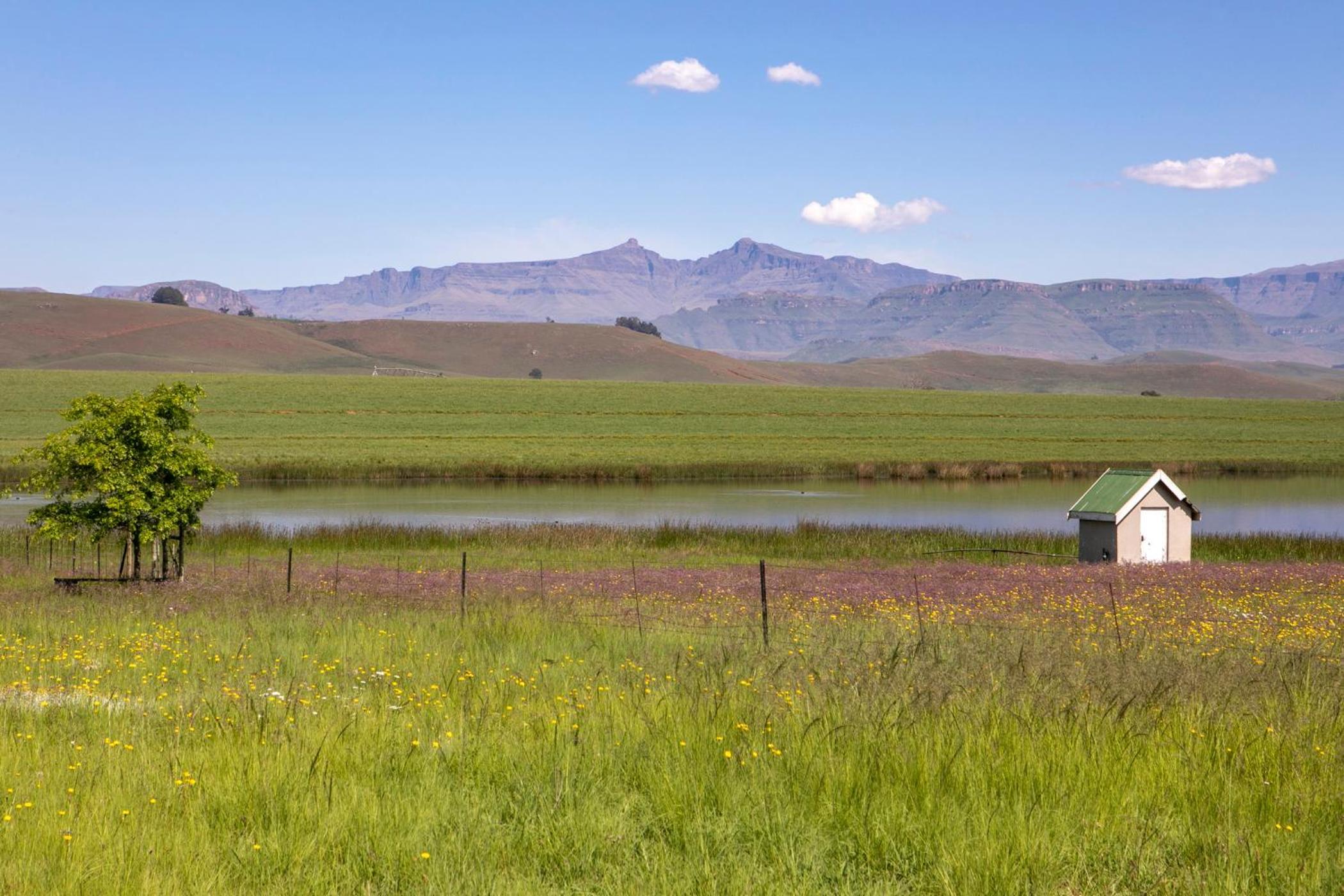 Khanyeni
