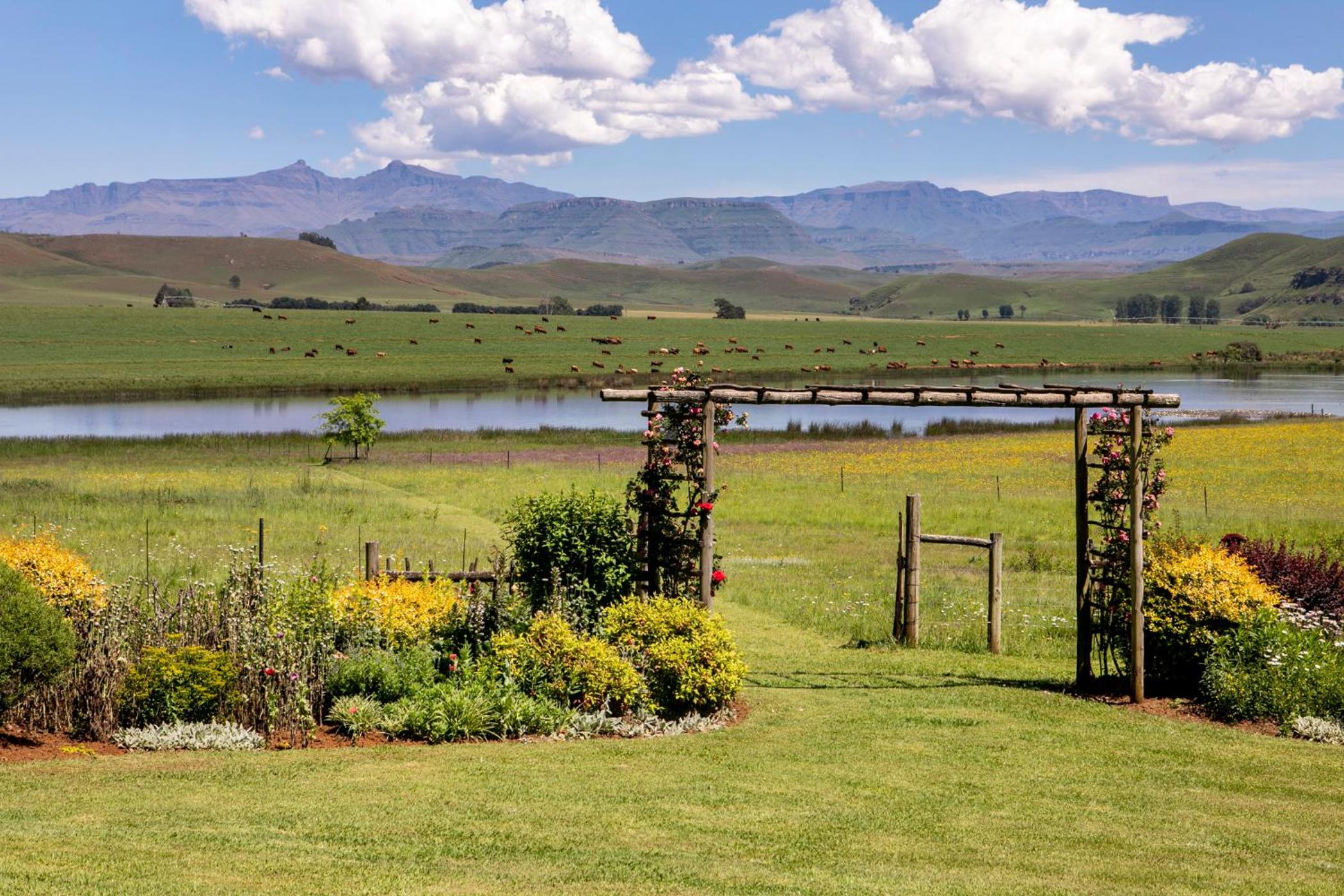 Khanyeni
