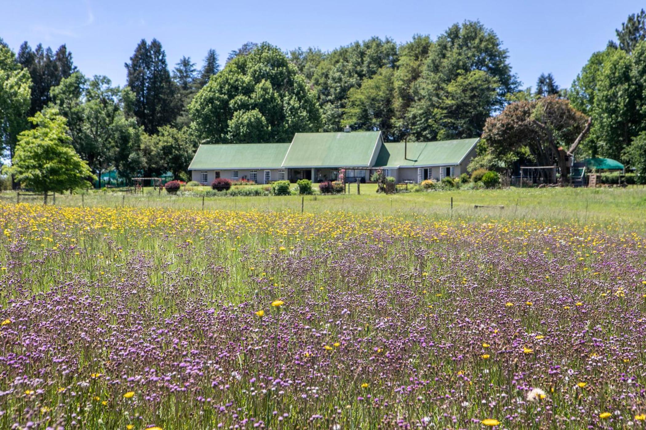 Khanyeni