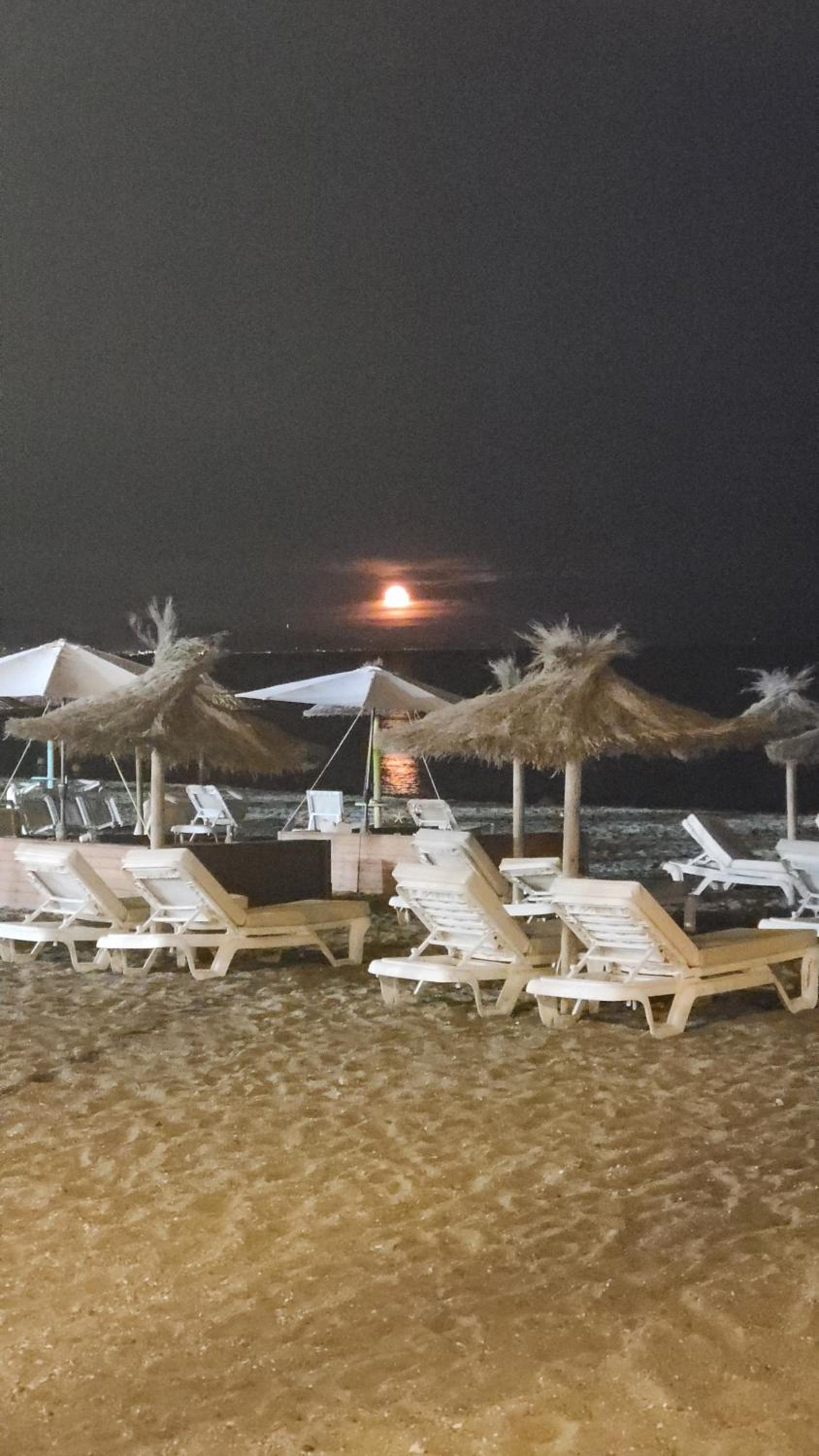 Marina Casares Beachside Apartment
