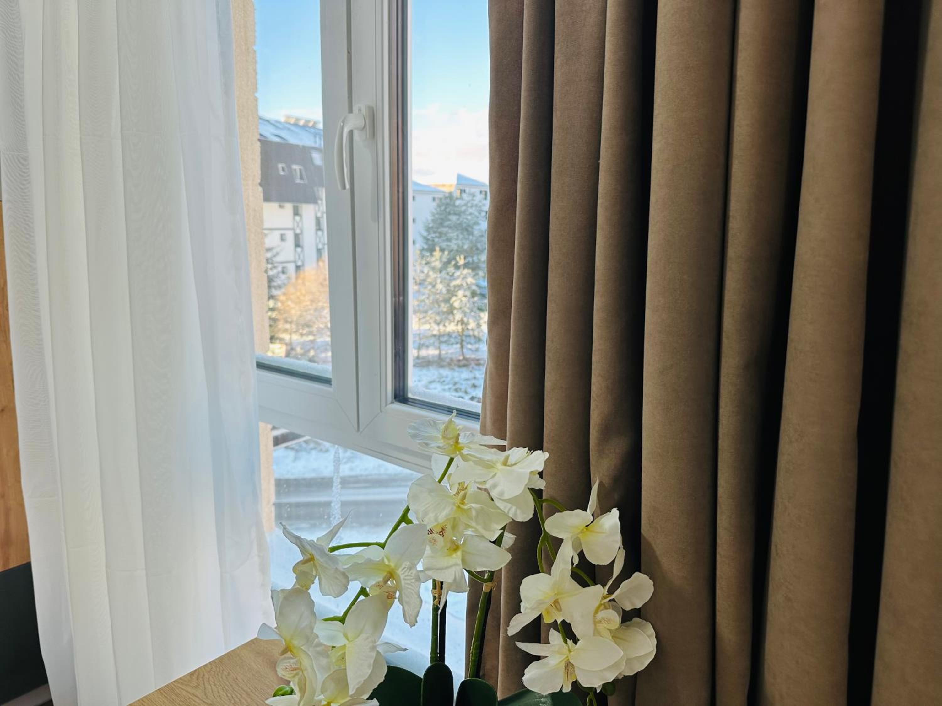 Milanovic Apartman view 3