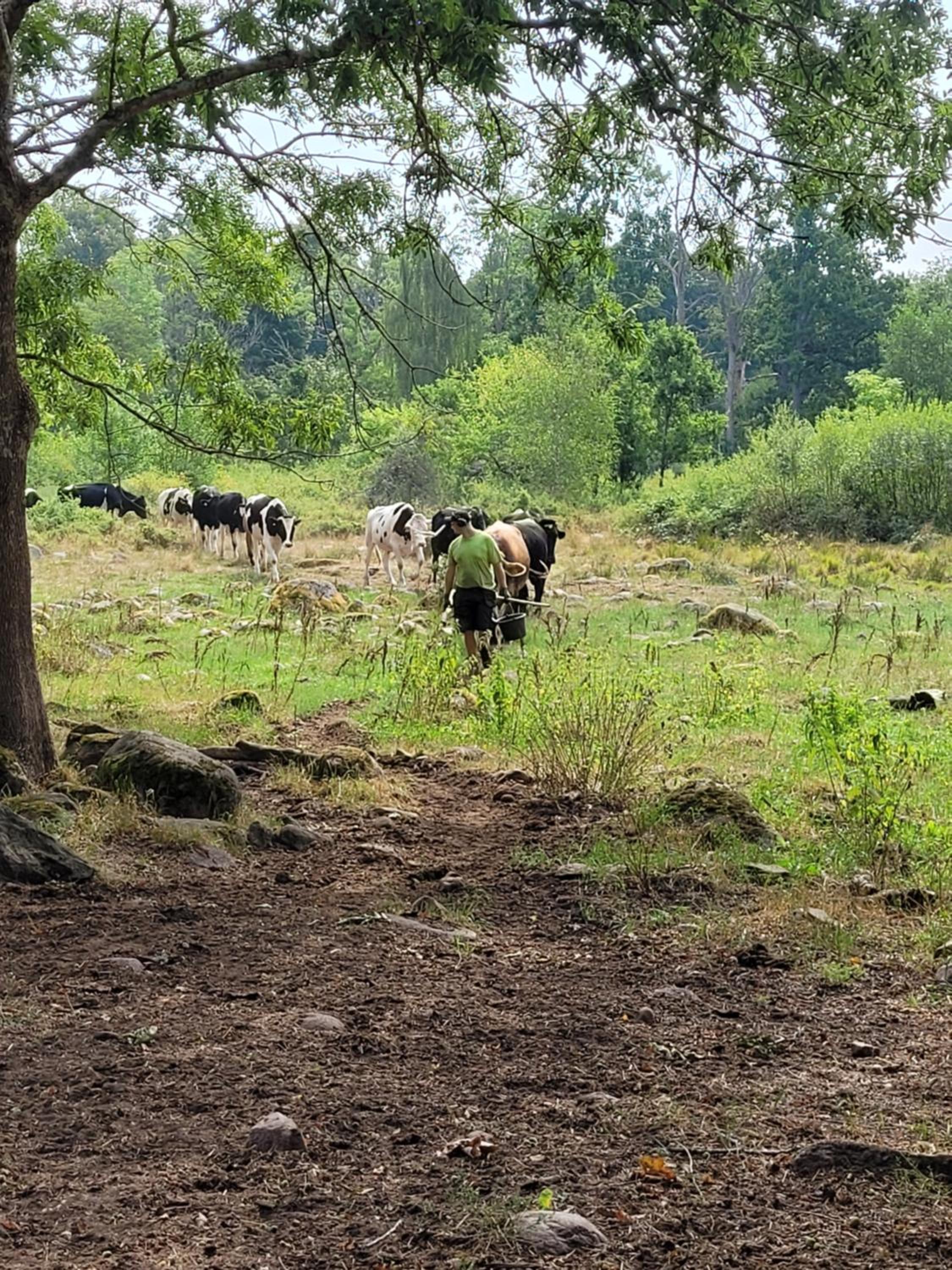 Rugstorps Lantgårds Glamping