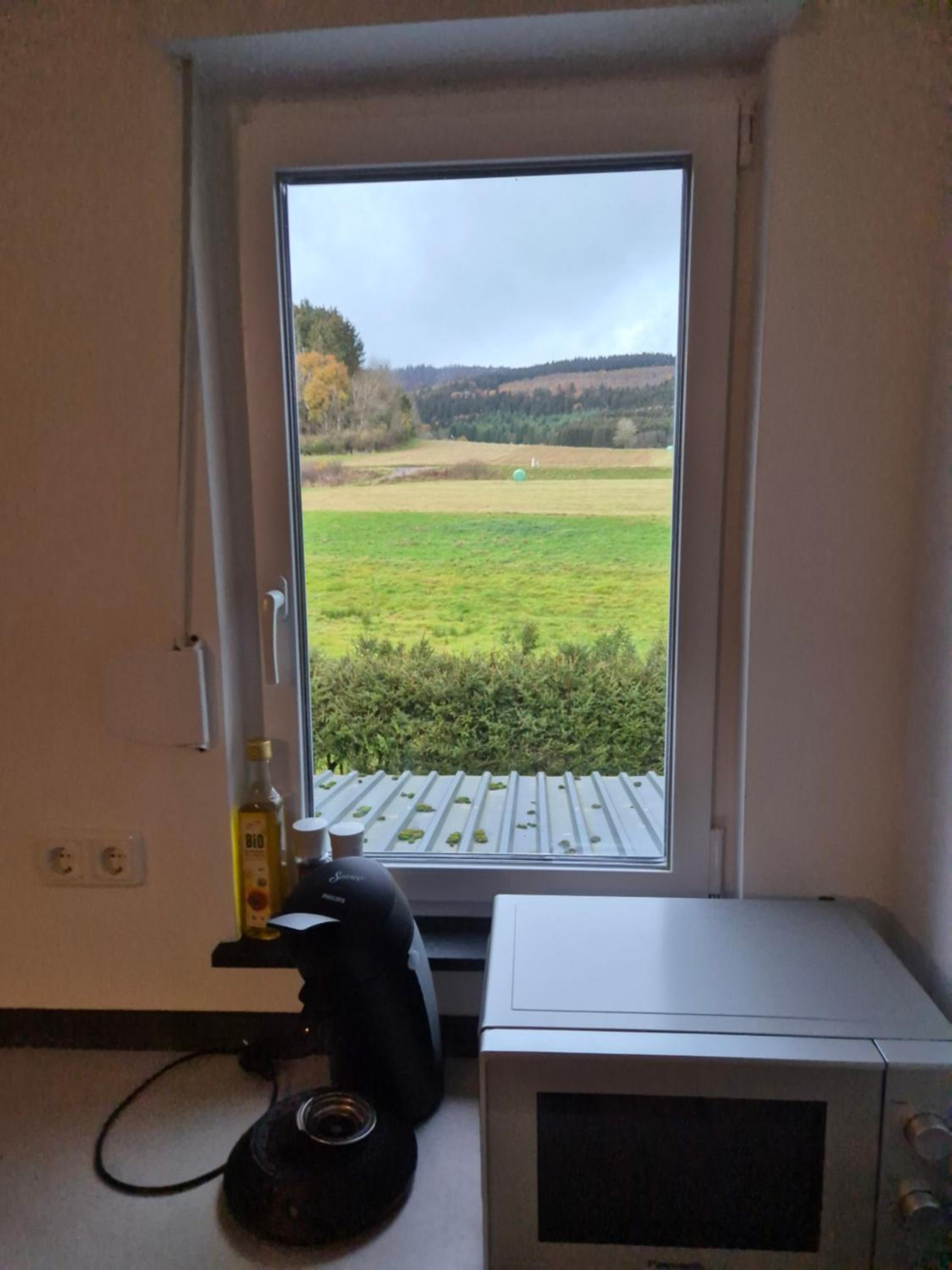 Guesthouse Wallenborn - Appartement