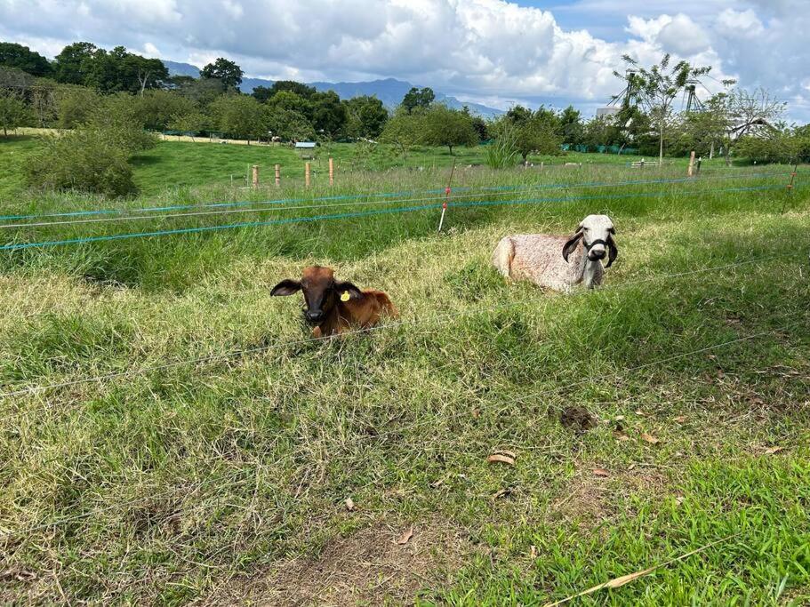 La Gema De Quindio Montenegro con AC y WiFi 2R