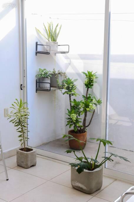 Casa Primavera