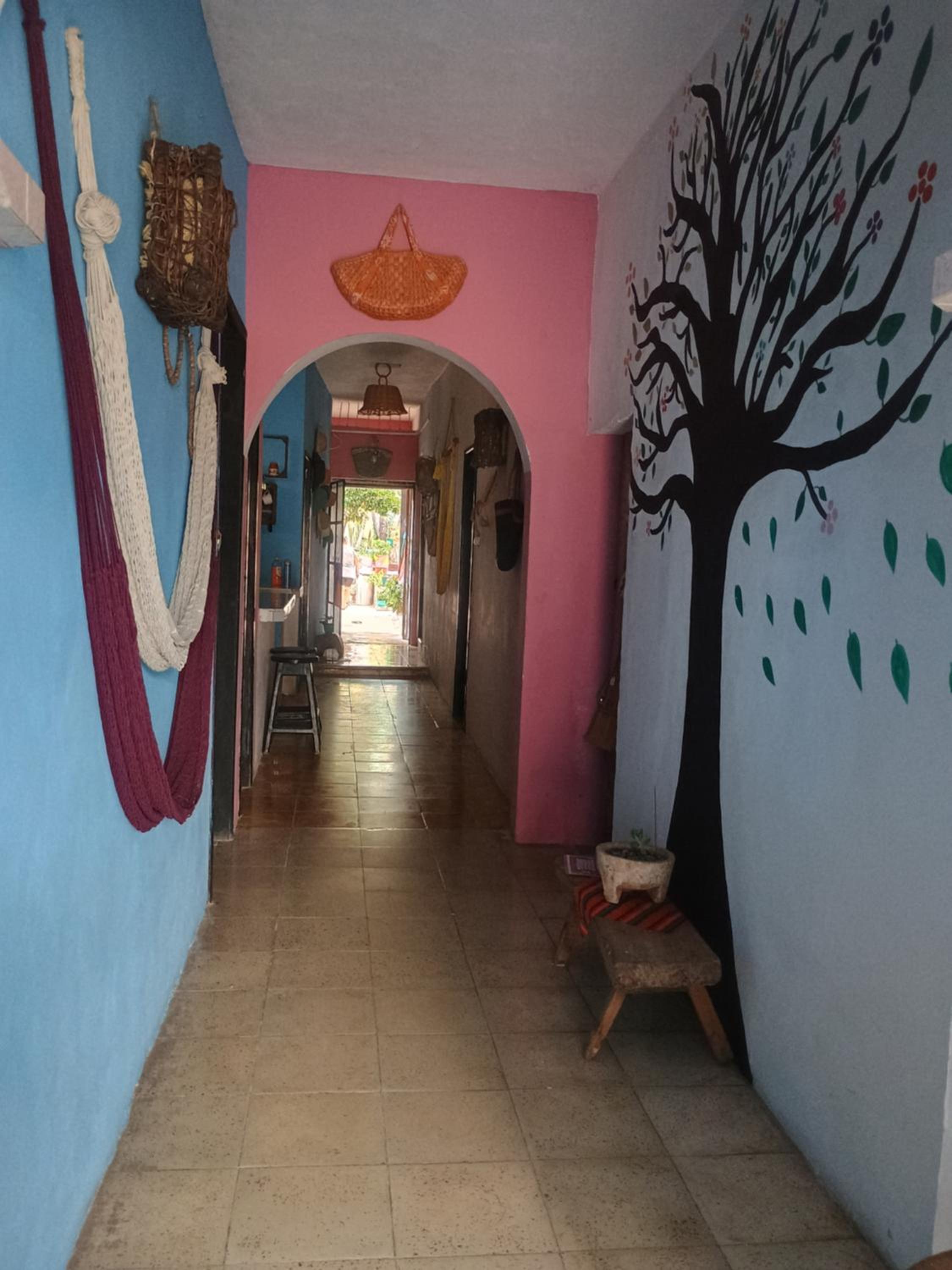 Hostal Casa TeTé view 5