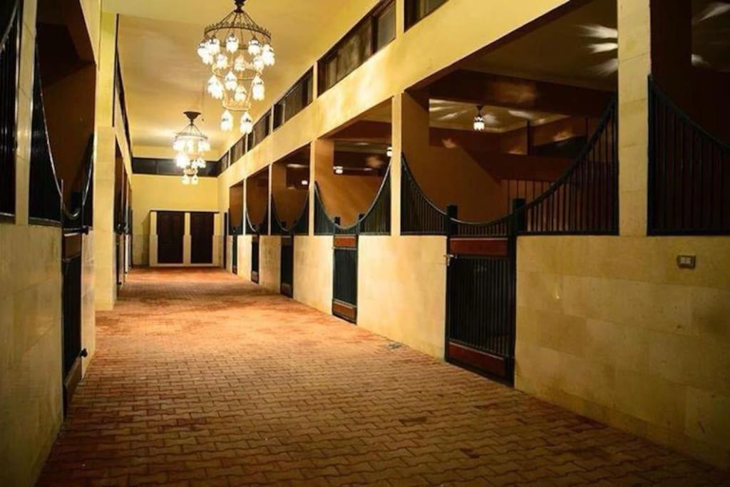 Pyramids ranch guesthouse