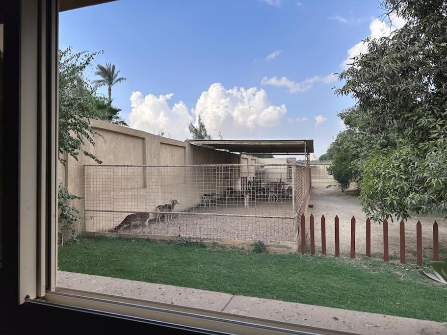 Pyramids ranch guesthouse