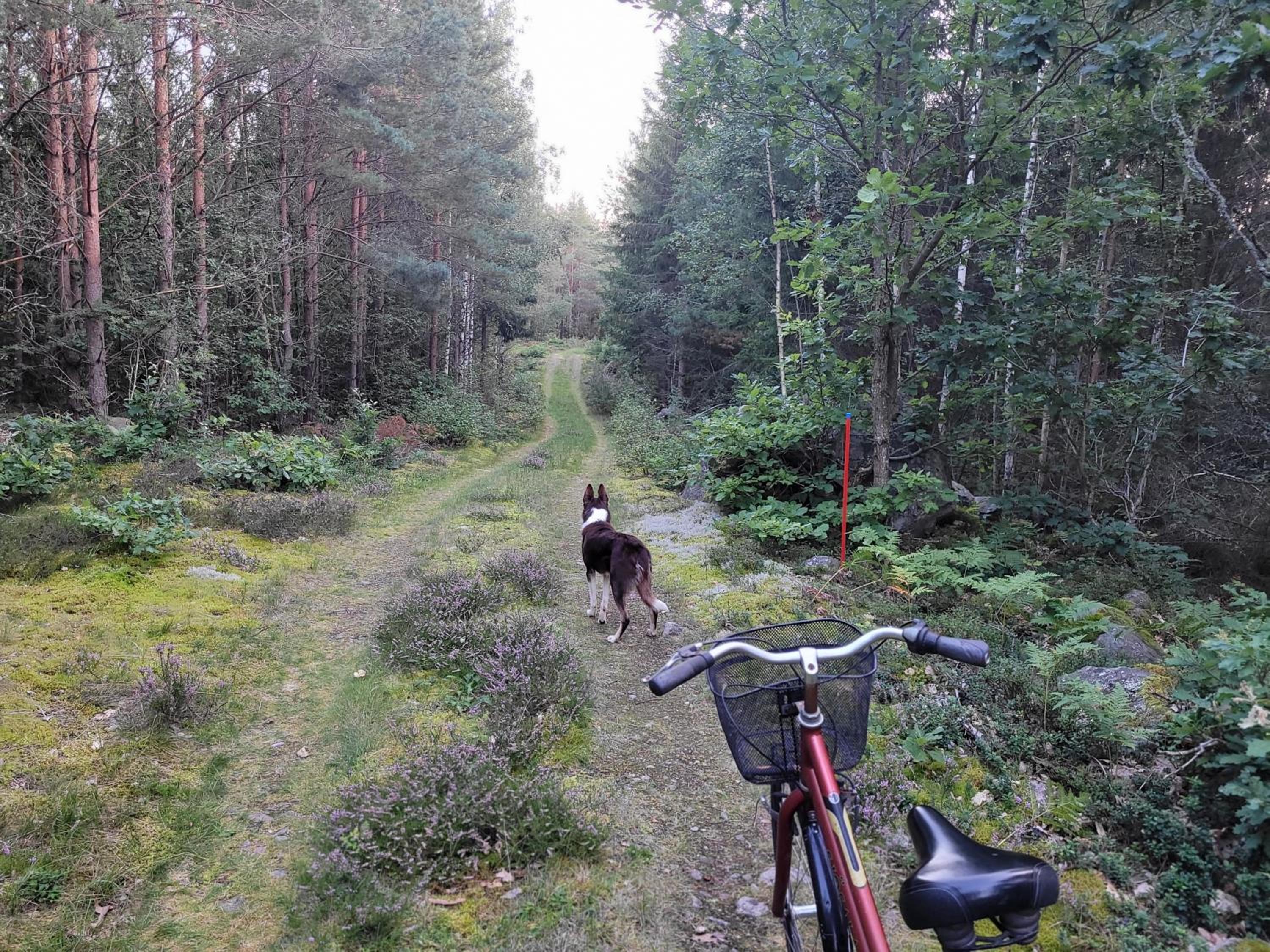 Rugstorps Lantgårds Glamping
