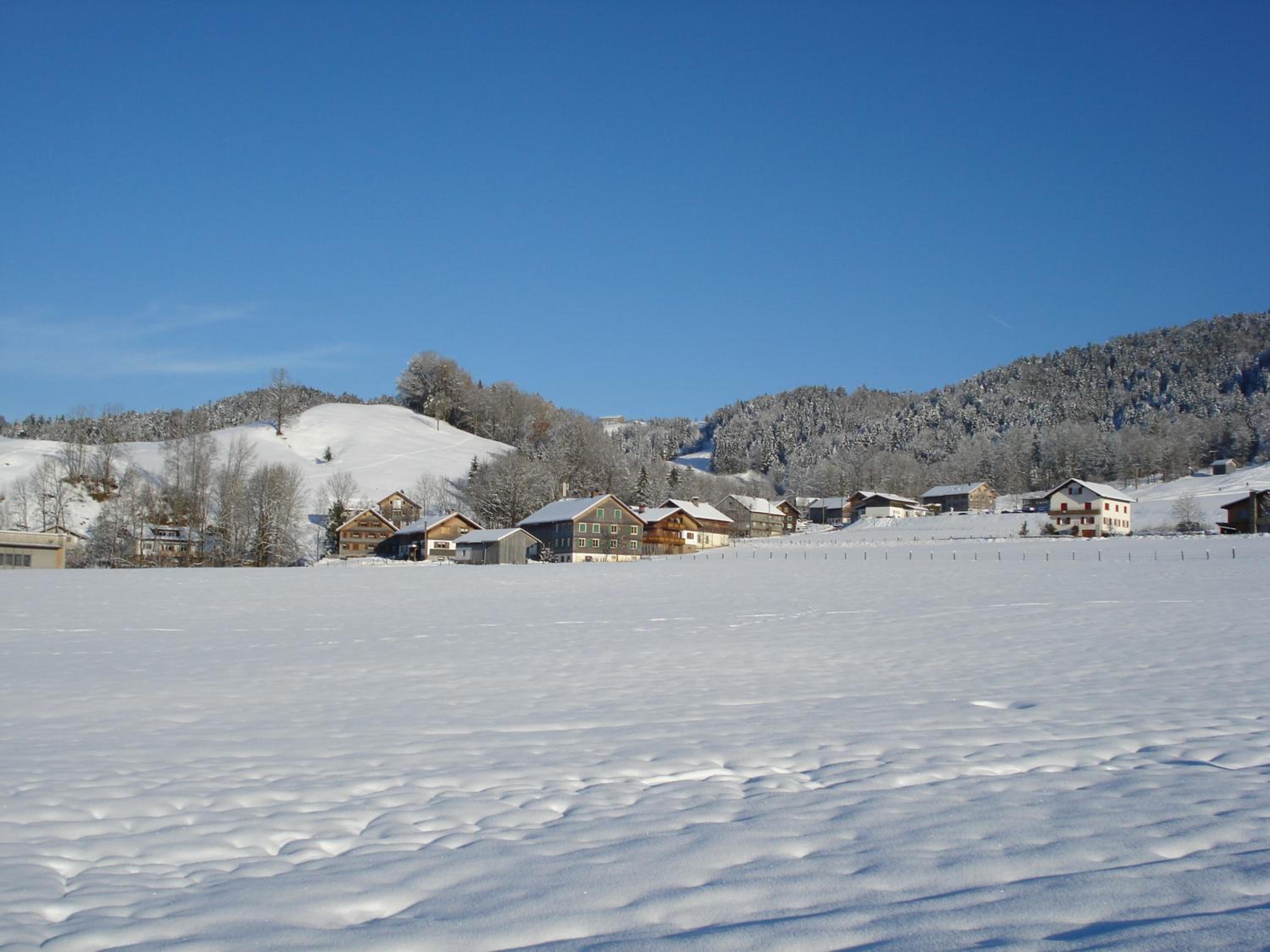 Gästehaus-Pension Barbara