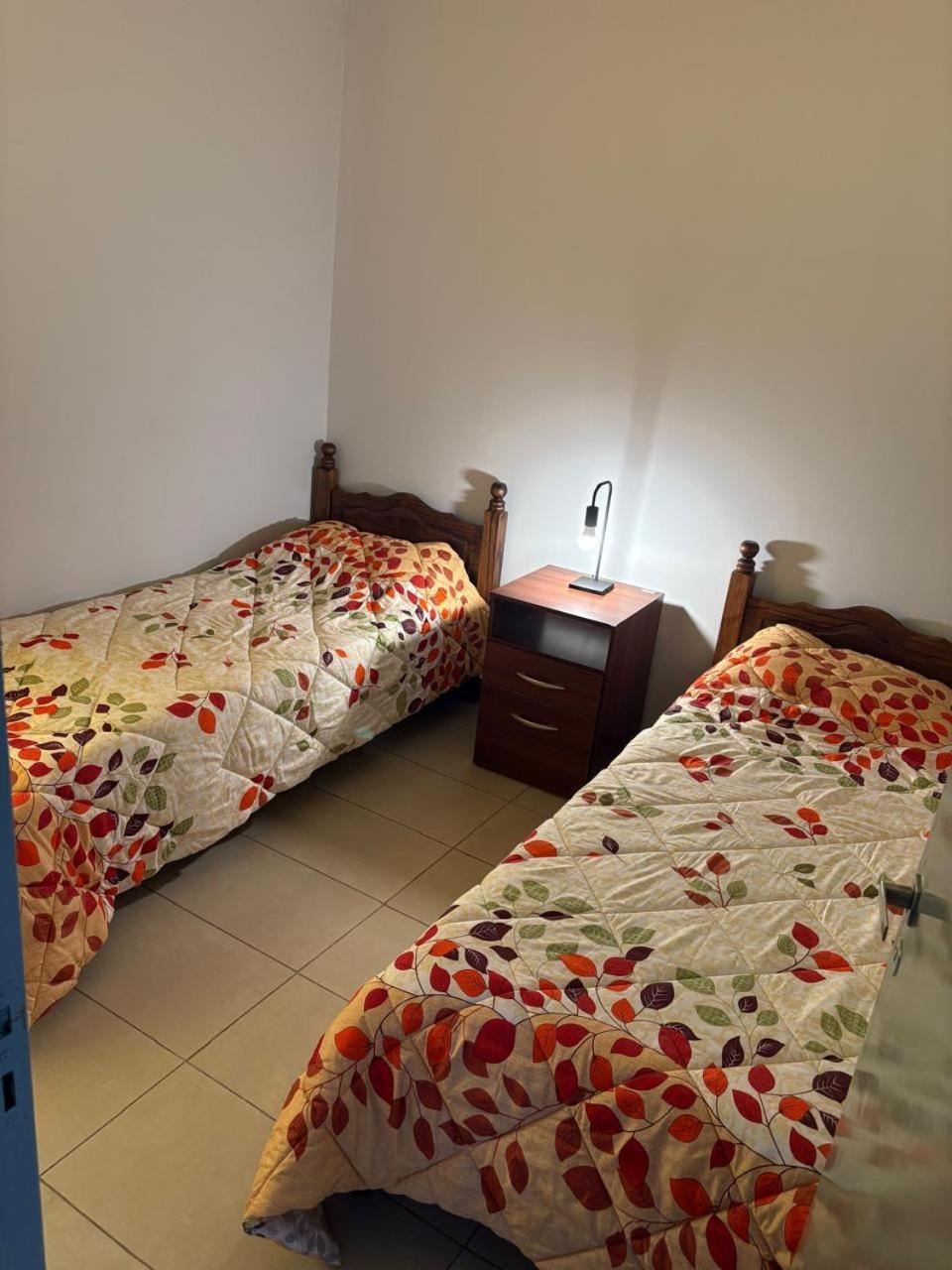 departamento San Rafael Mendoza
