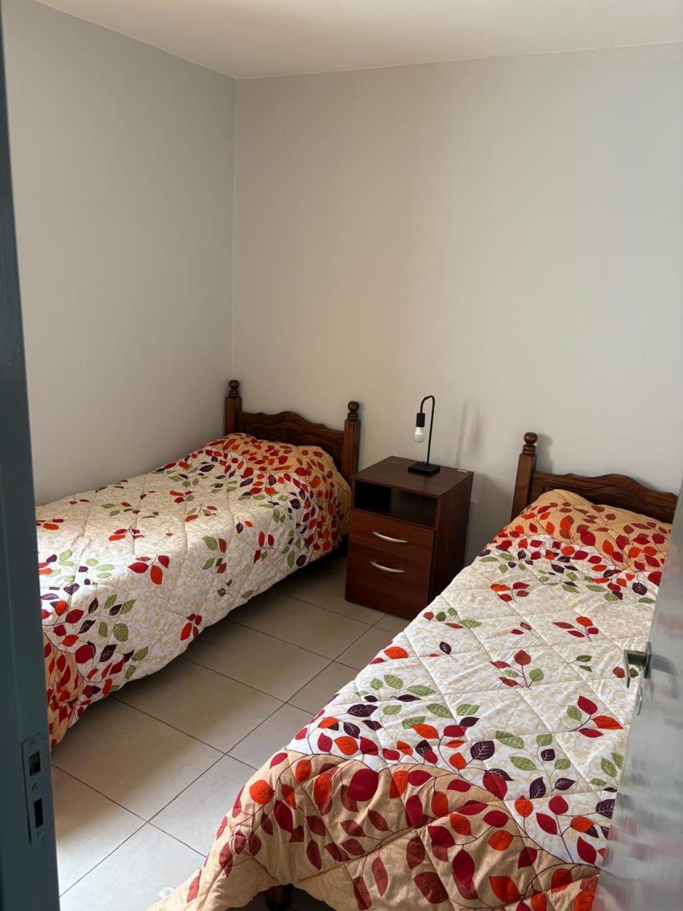 departamento San Rafael Mendoza
