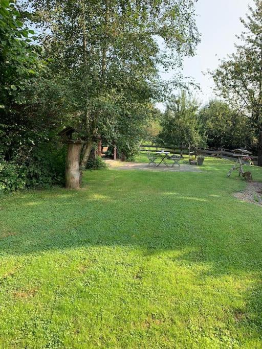Ferienwohnung Waldblick