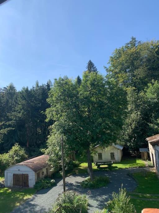 Ferienwohnung Waldblick