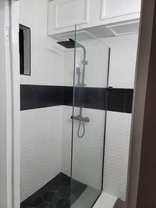 Cozy Apartment in Kingston, Jamaica view 2