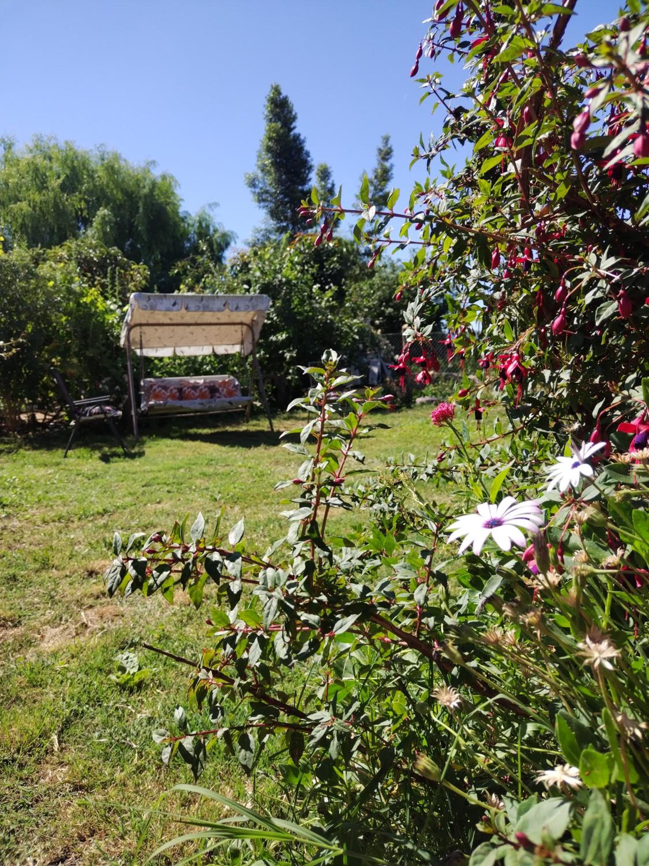 Estancia Serene