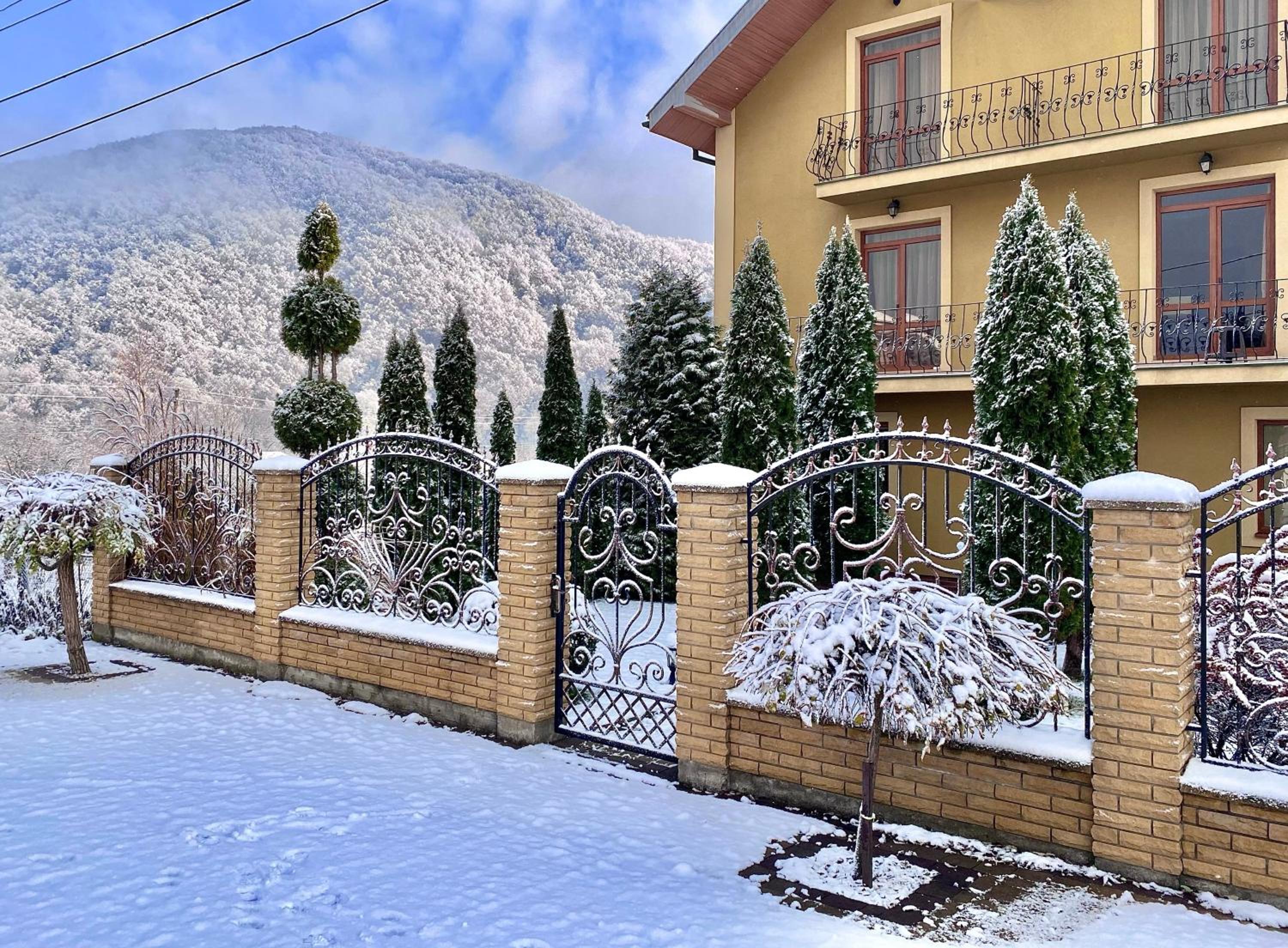 У Аліни view 2