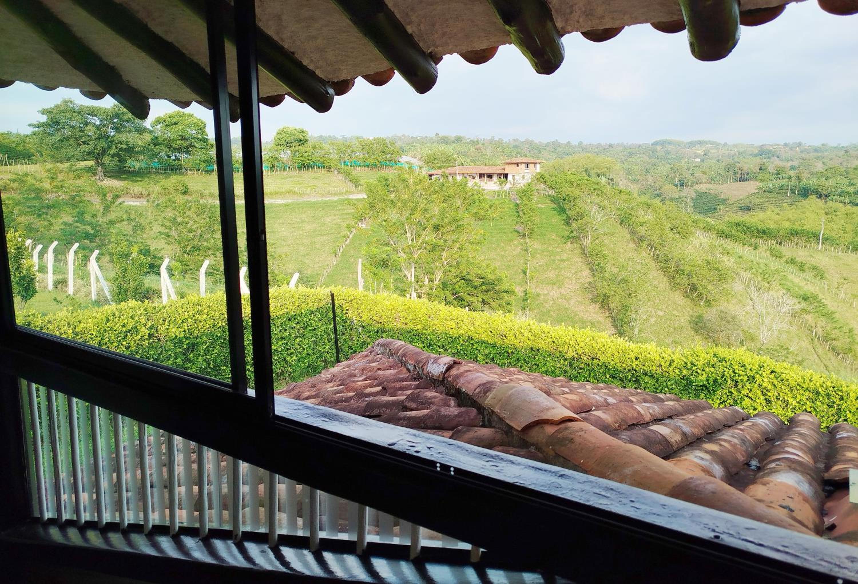 Resort CIPRIANO