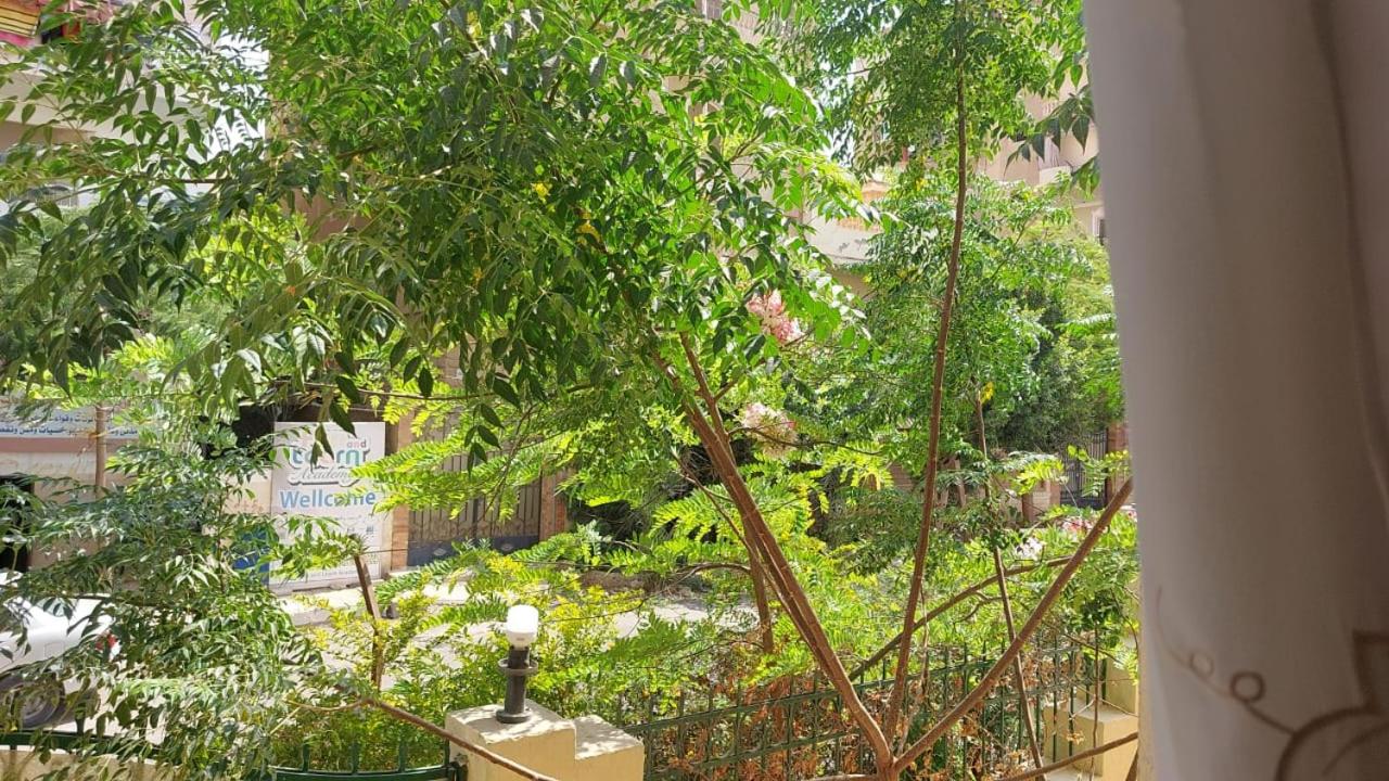 Furnished flat near Pyramids