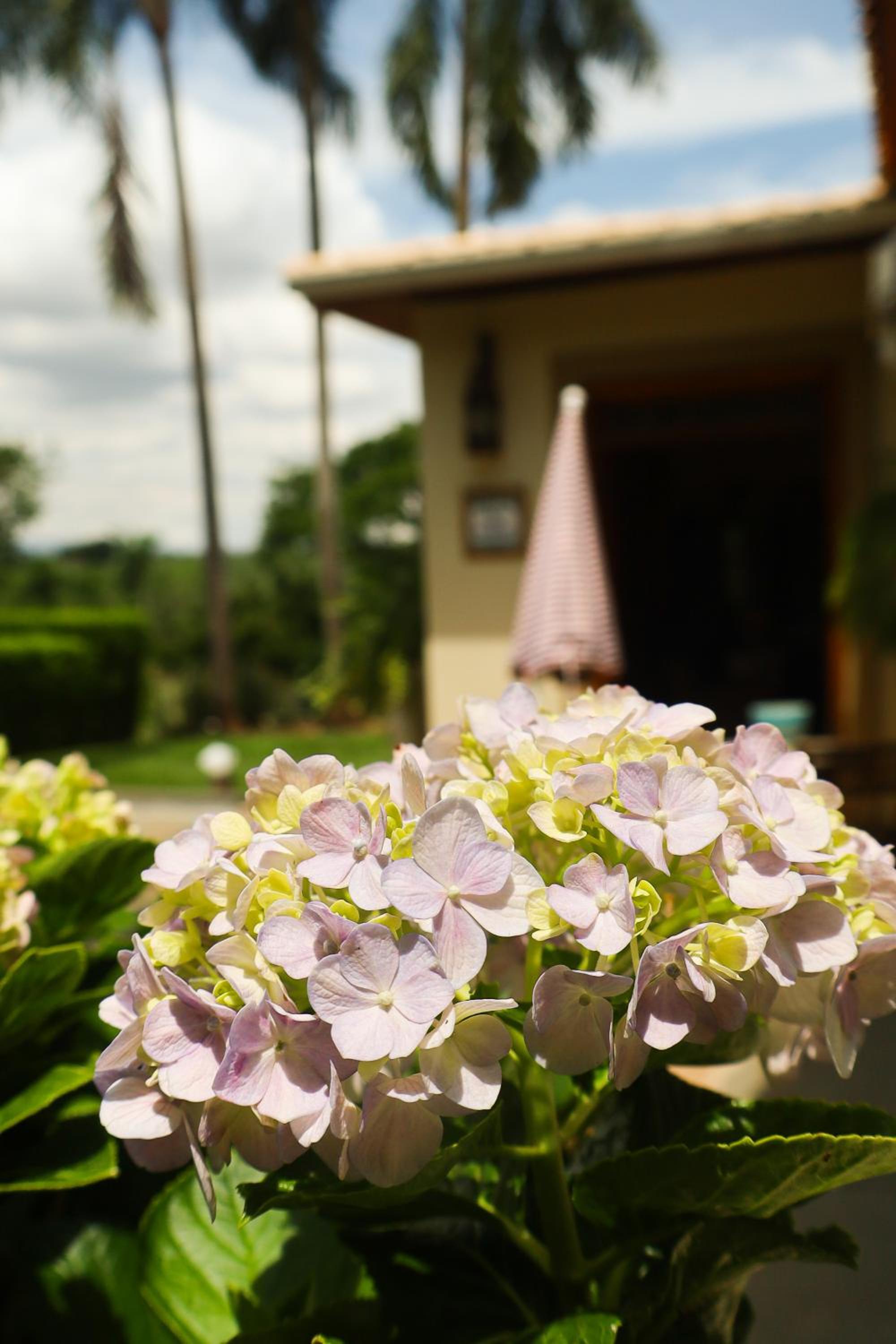 Charmosa Casa de campo - Pico Do Moro