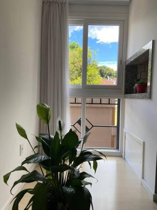 APARTAMENTo ACONCHEGANTE NO CENTRO DE CANELA!
