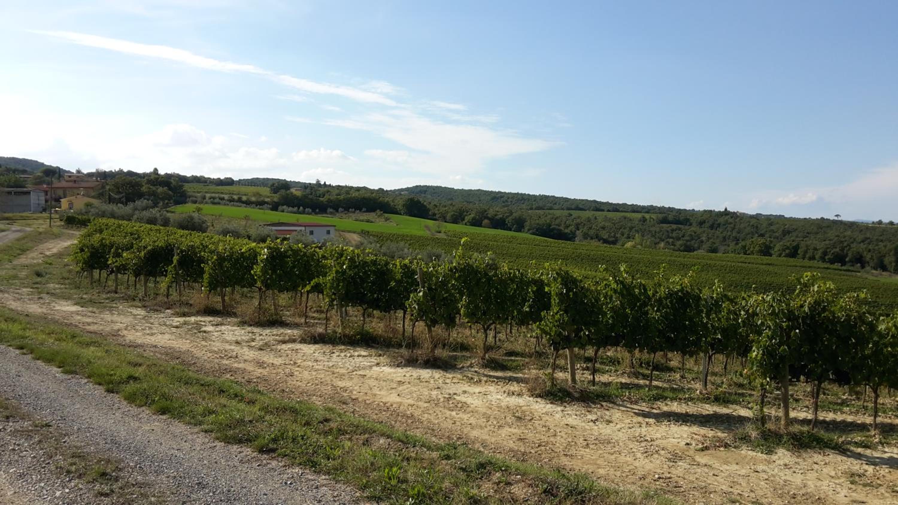 Agriturismo Podere Casa al Vento