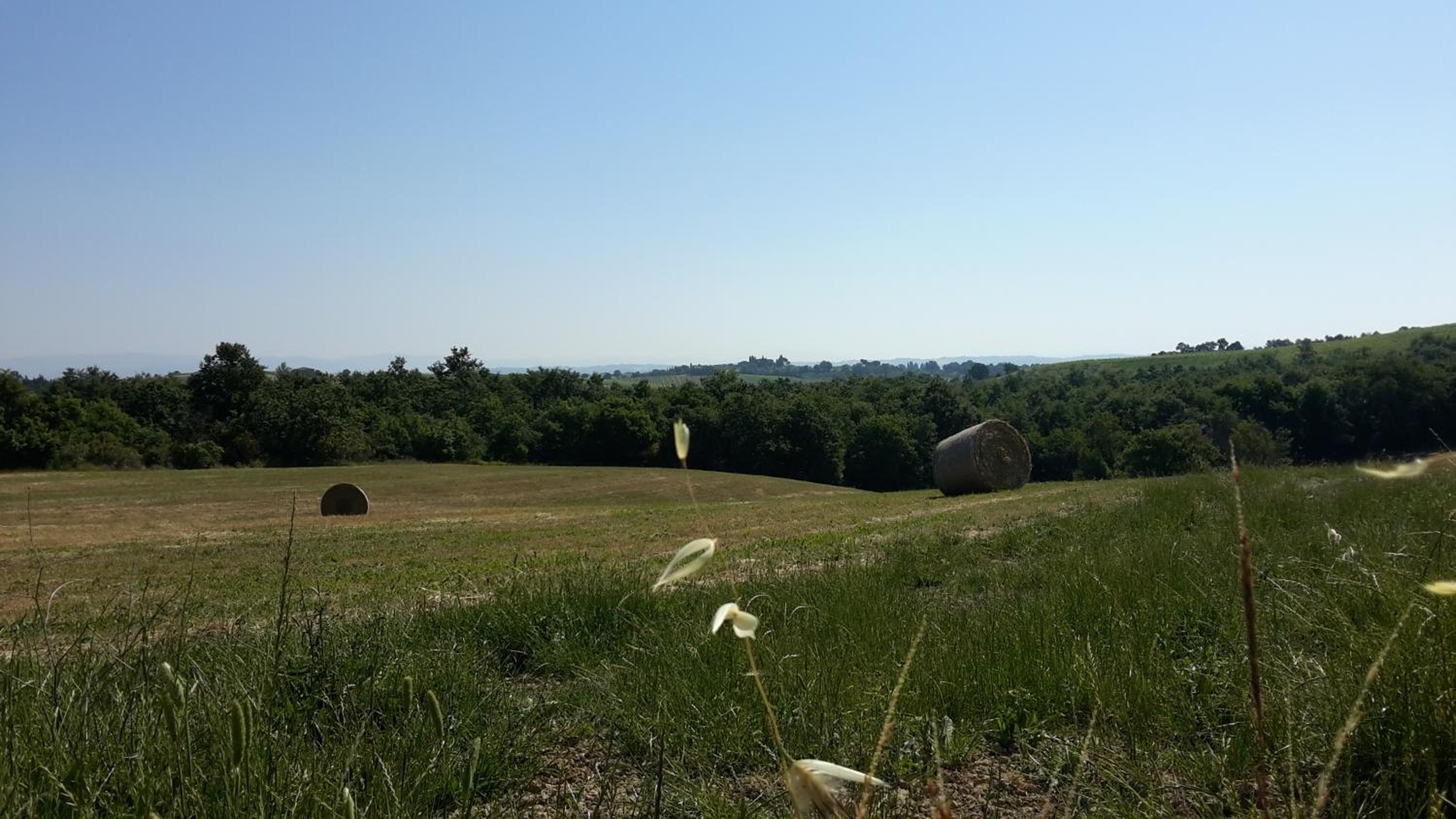 Agriturismo Podere Casa al Vento
