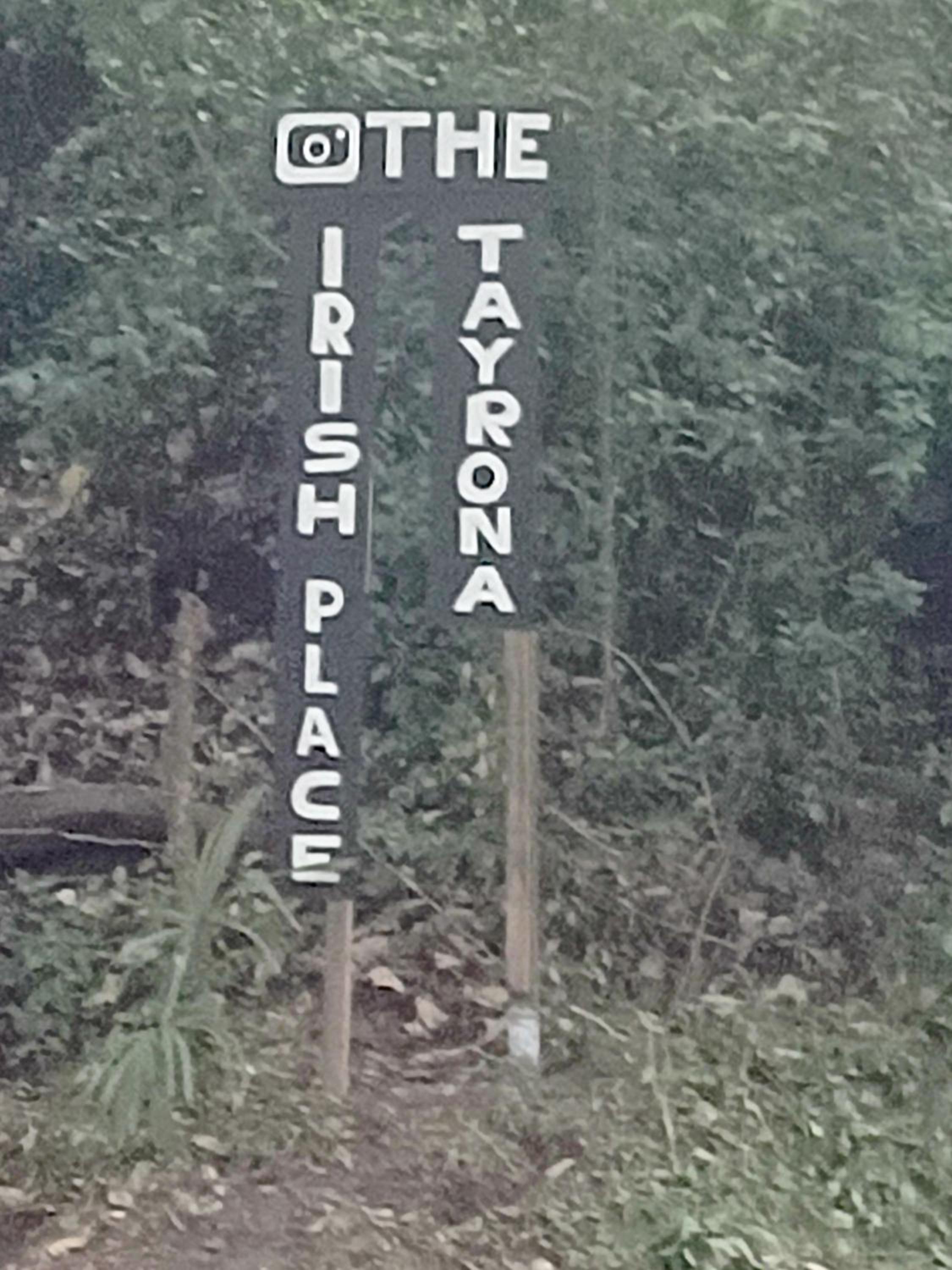 The Ireland Place Tayrona