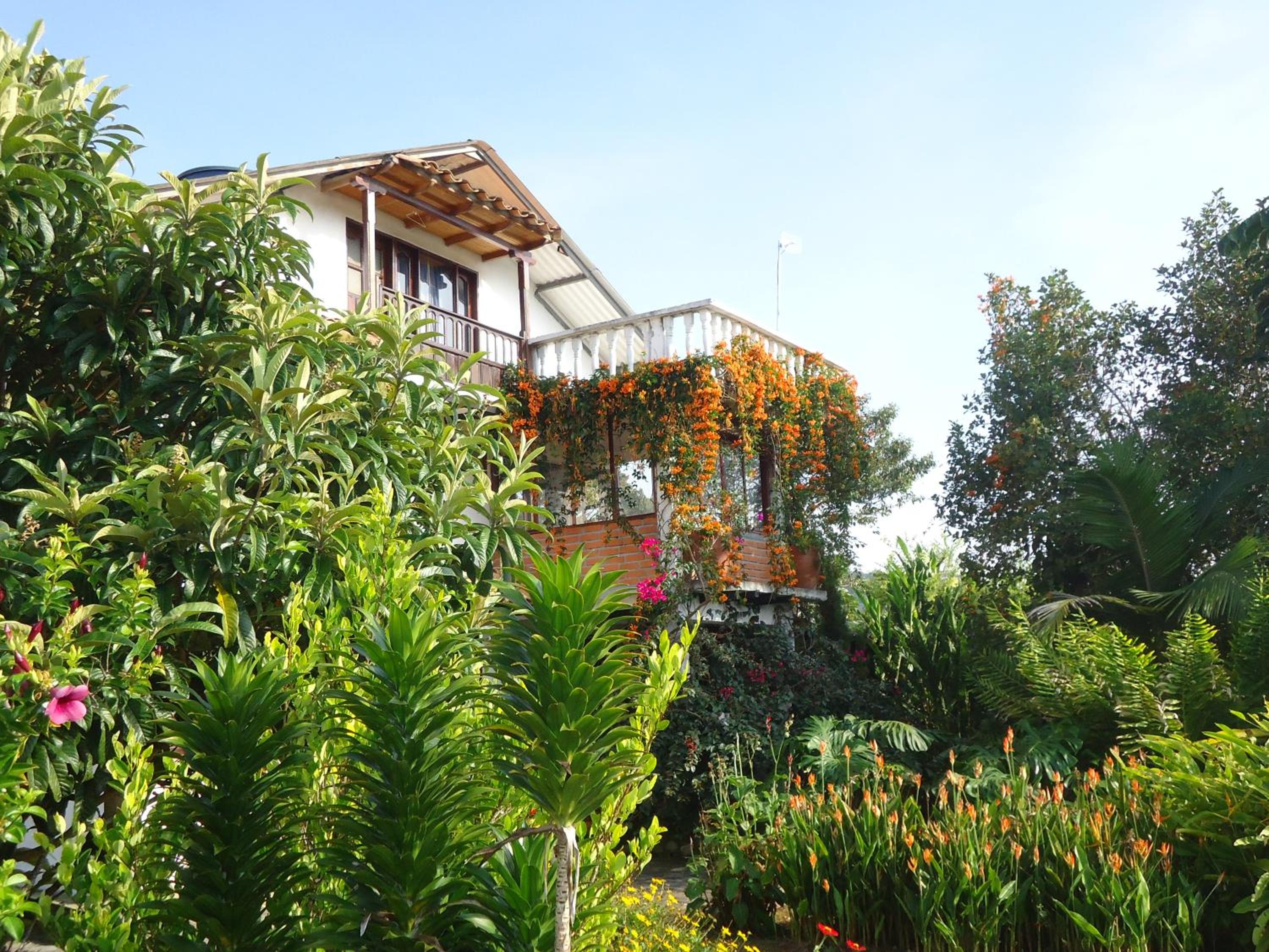 Hostal Pachamama, photo 41