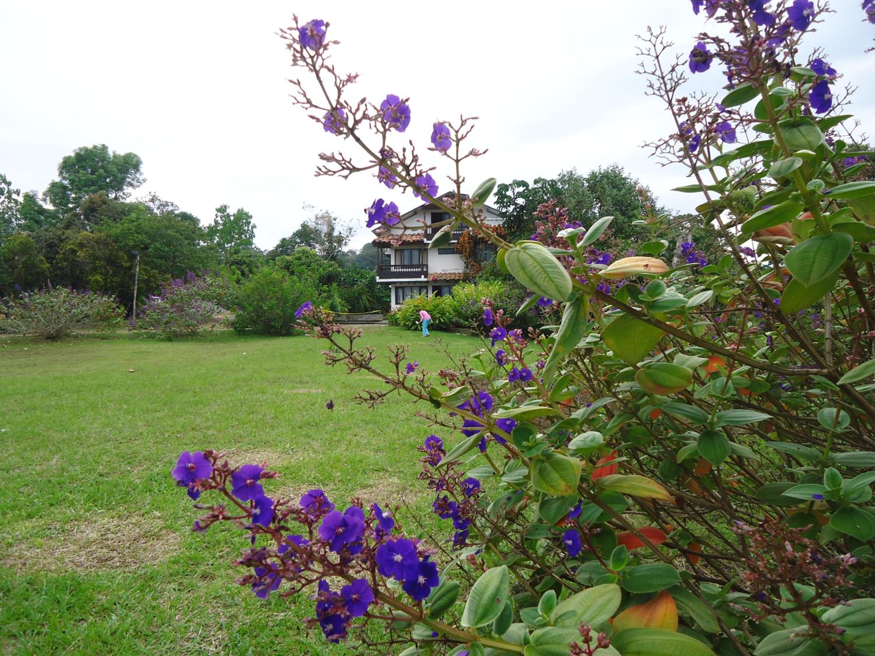 Hostal Pachamama, photo 55