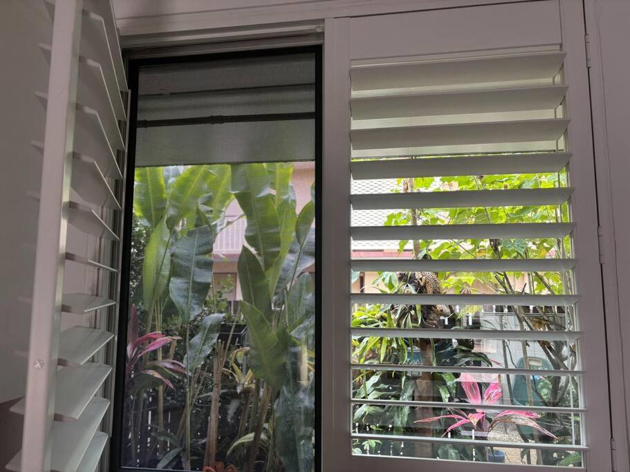 Tropical Ground-Floor Retreat Cairns - Image 3