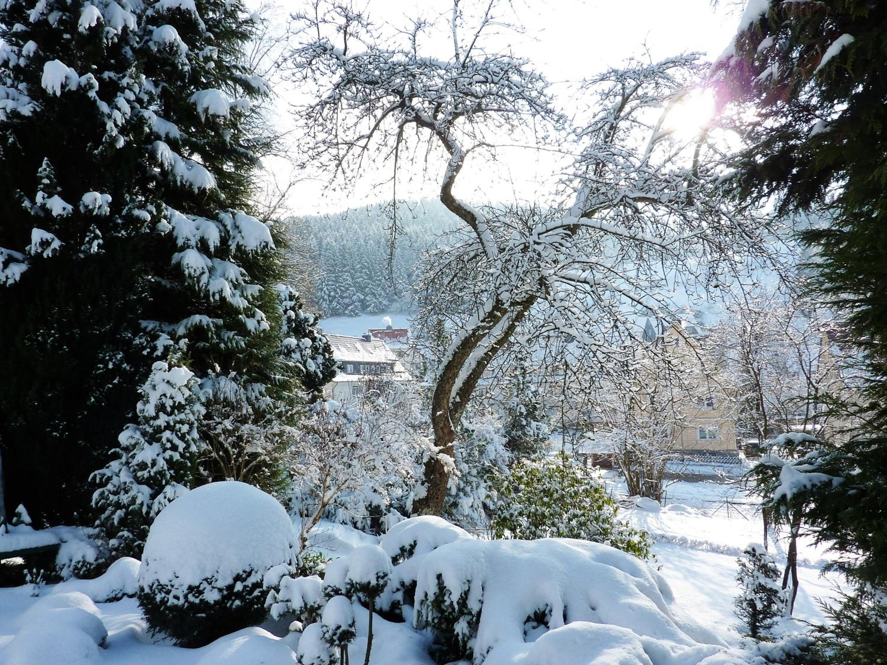 Pension Rheingold Garni