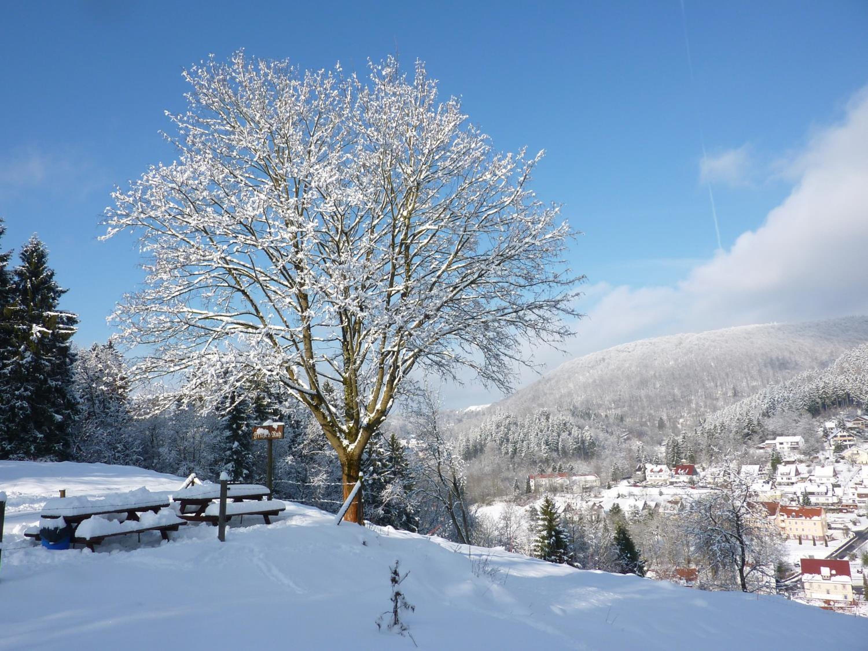 Pension Rheingold Garni