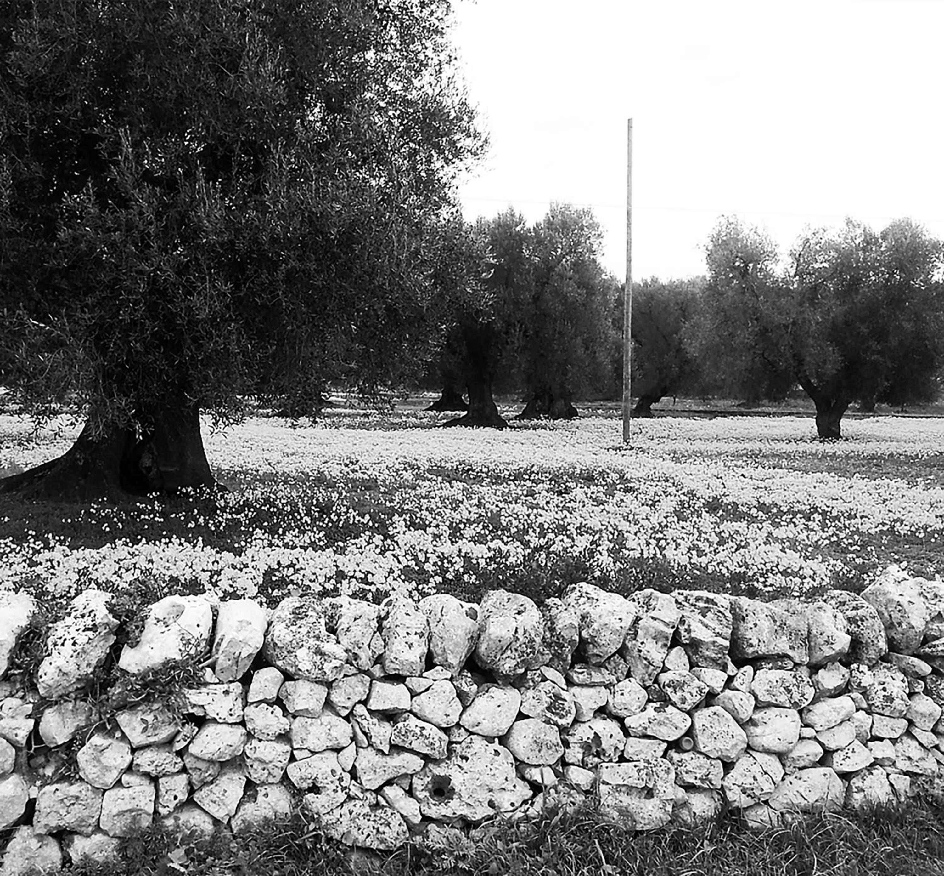 Civico 2 en Manduria — other
